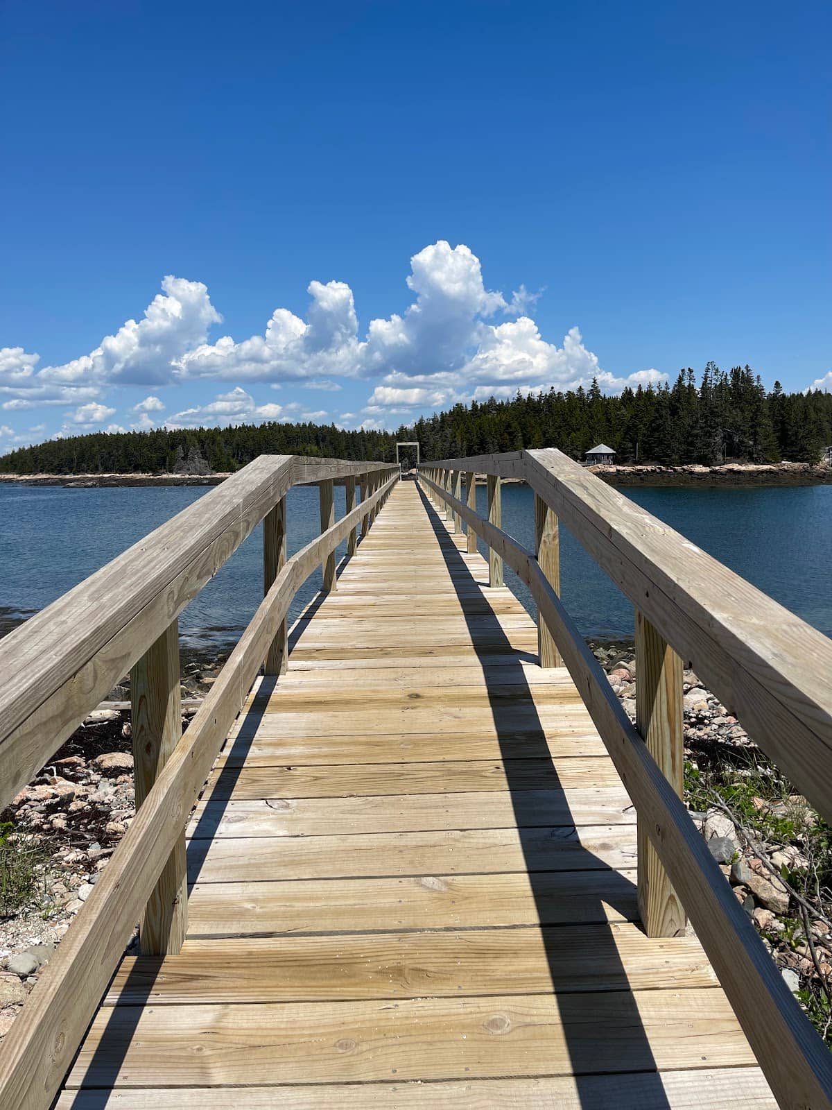 Schoodic Peninsula Views
