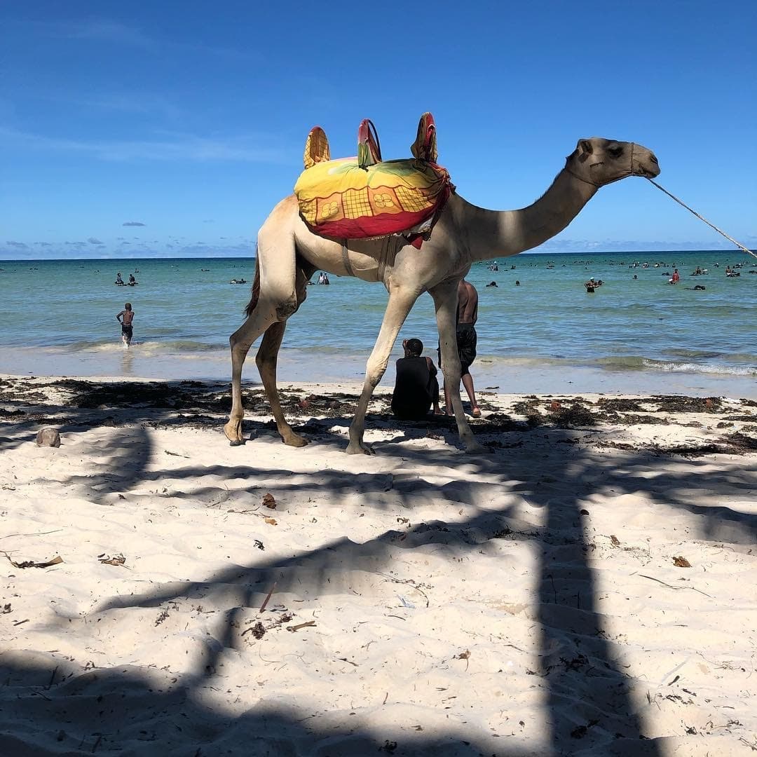 Bamburi Mombasa - Image 1