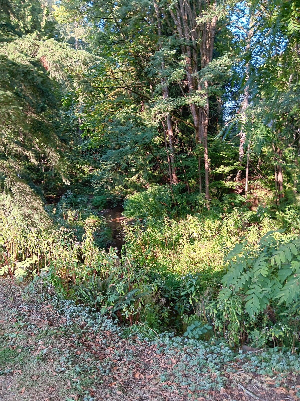 Windebank Creek Nature Trail - Image 1