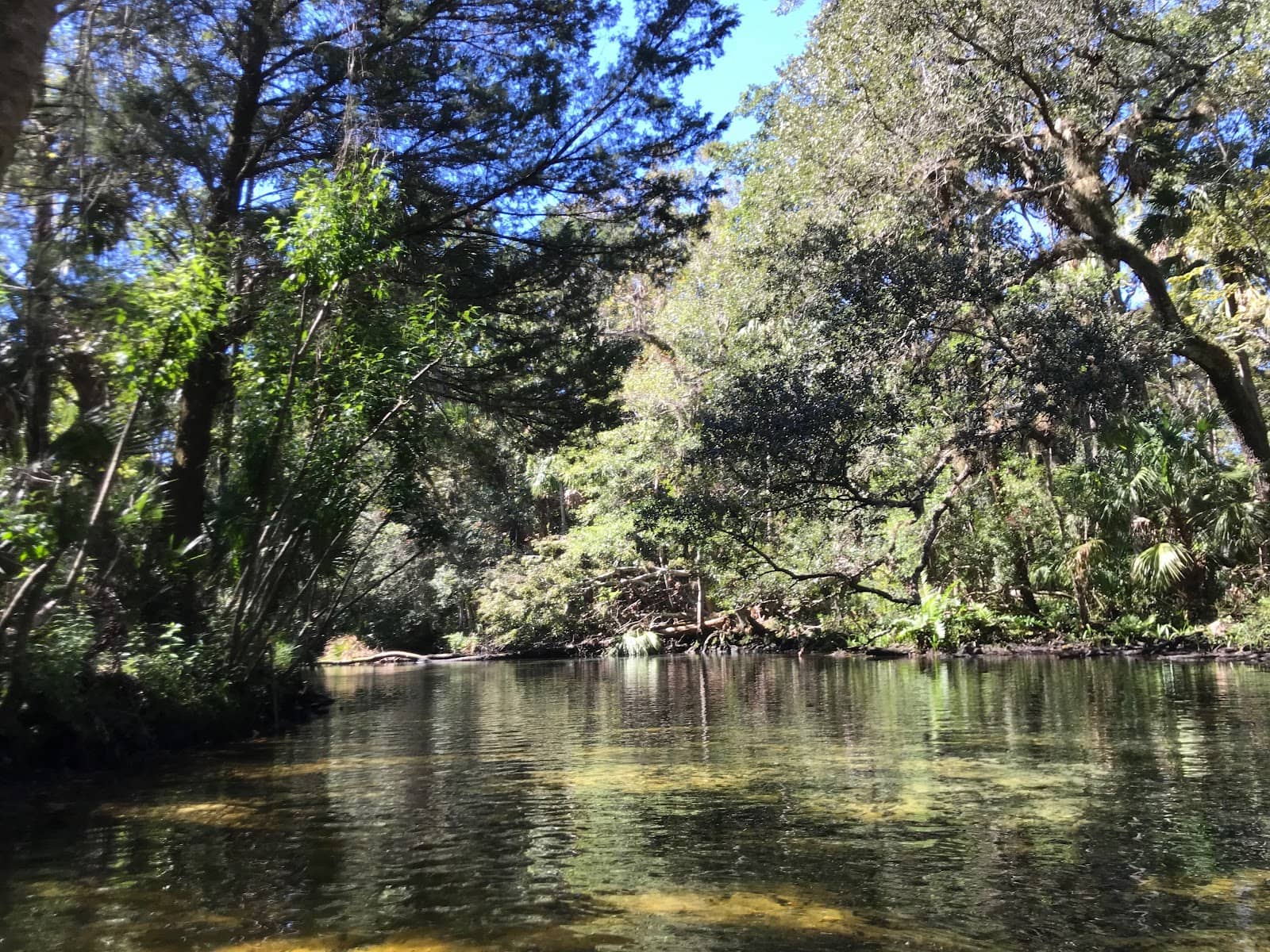 Chassahowitzka Campground