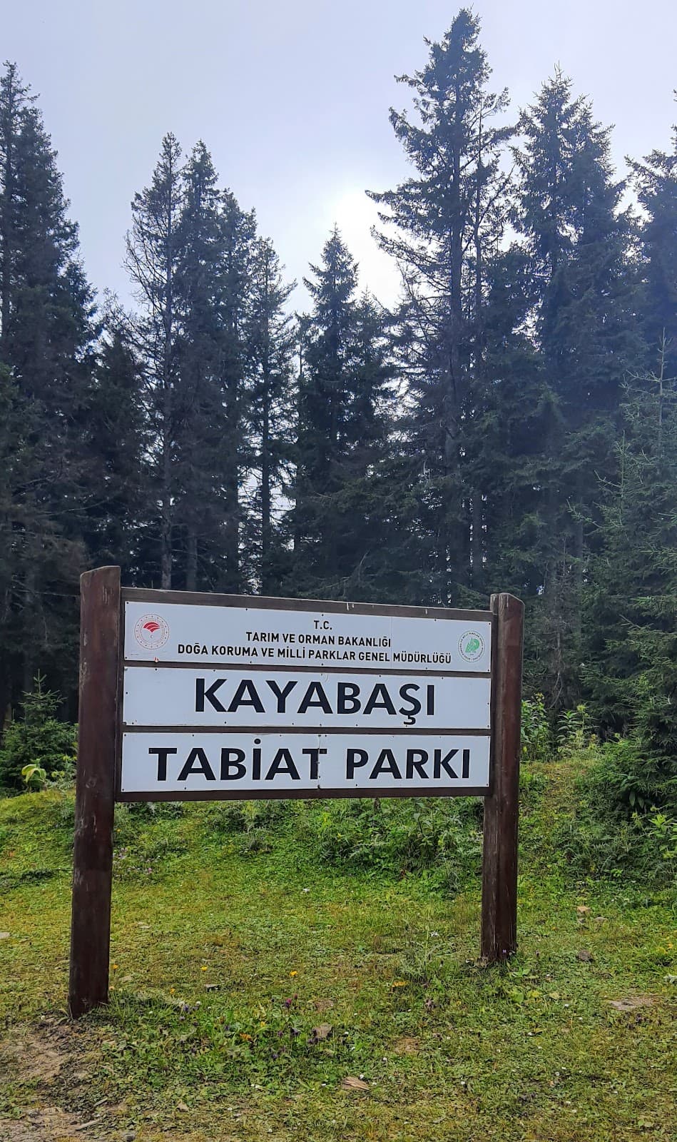 Kayabaşı Plateau - Image 1