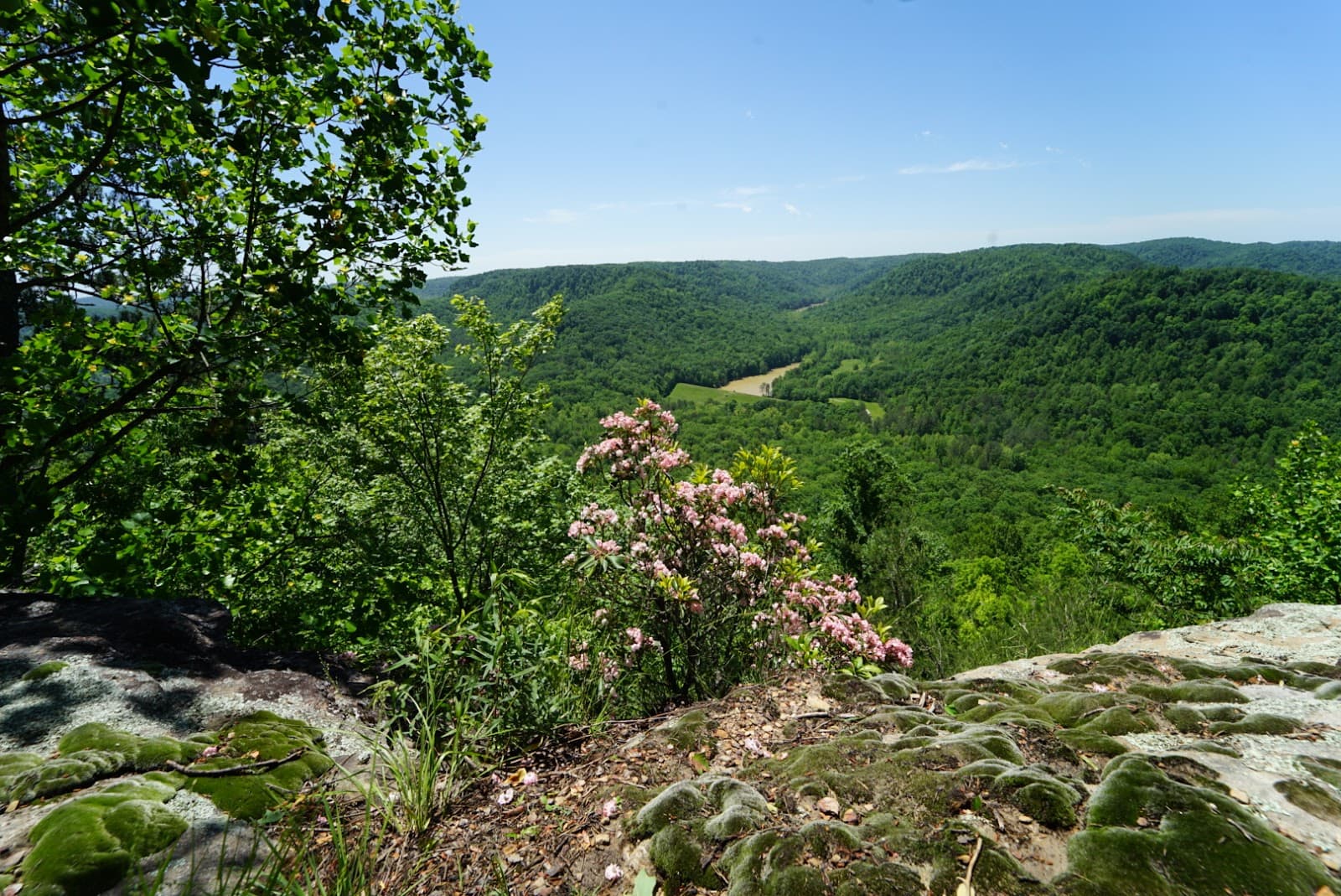 Brushy Fork Park & Trails - Image 1