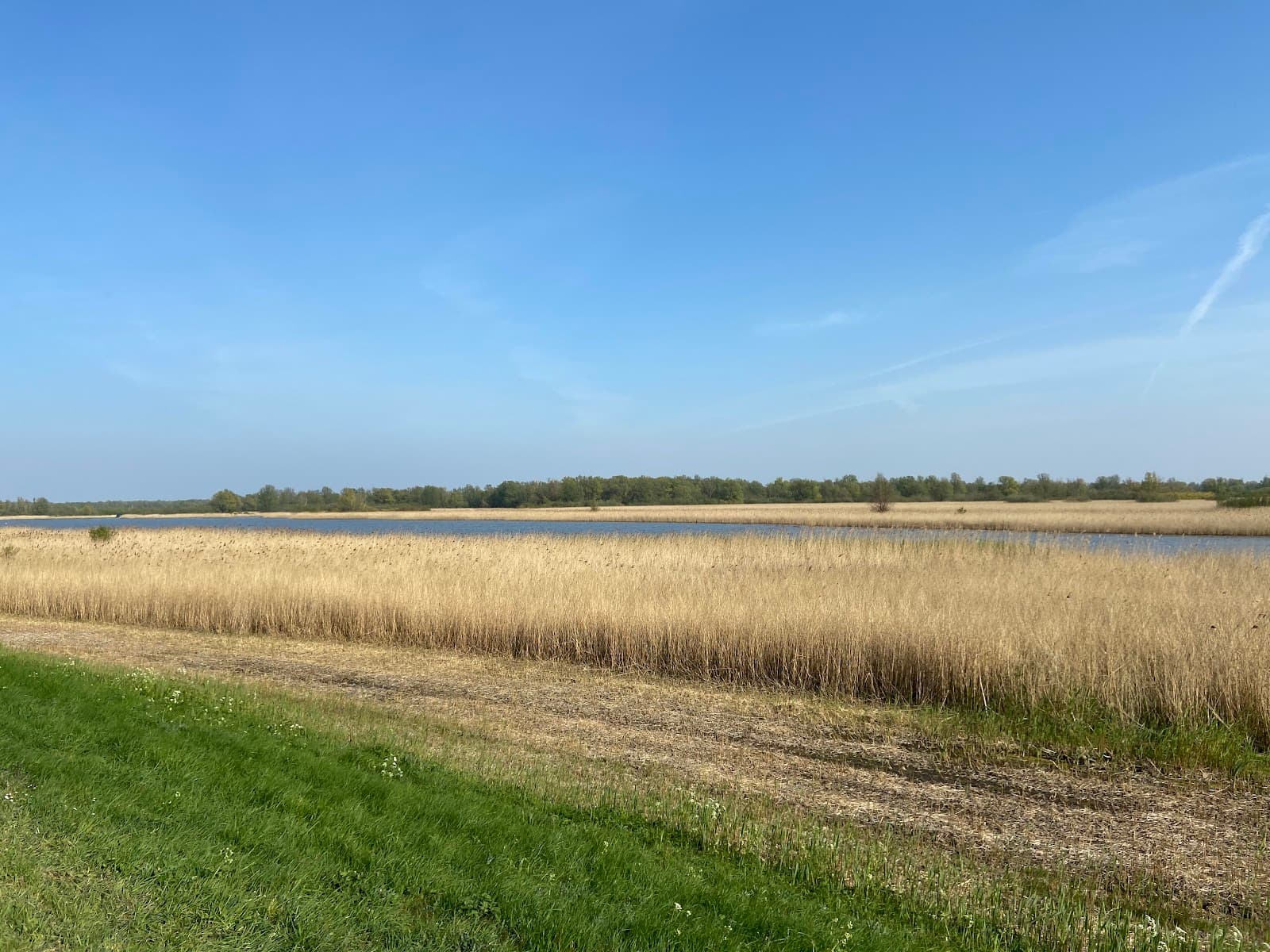 Lepelaarplassen - Image 1