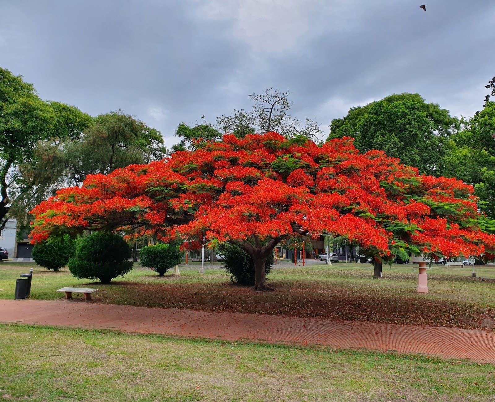 Plaza Sáenz Peña - Image 1
