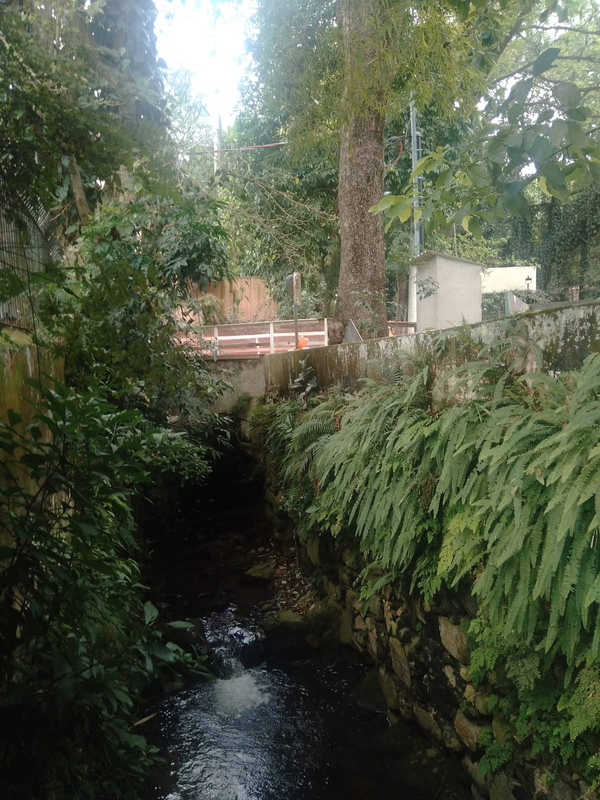 Vertical photo