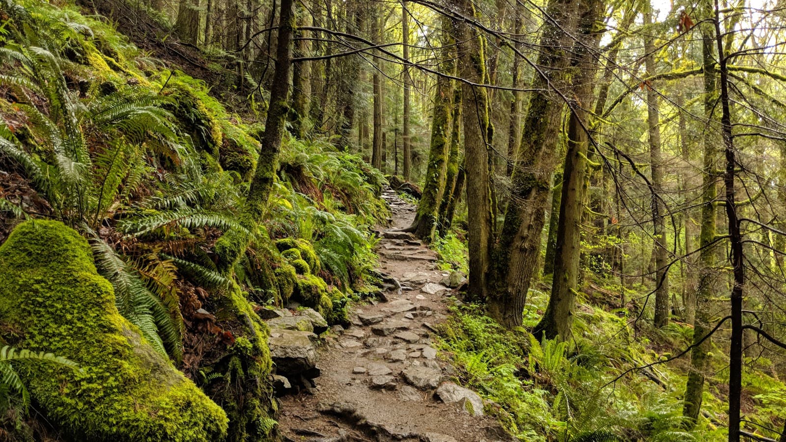 Chirico Trailhead - Image 1