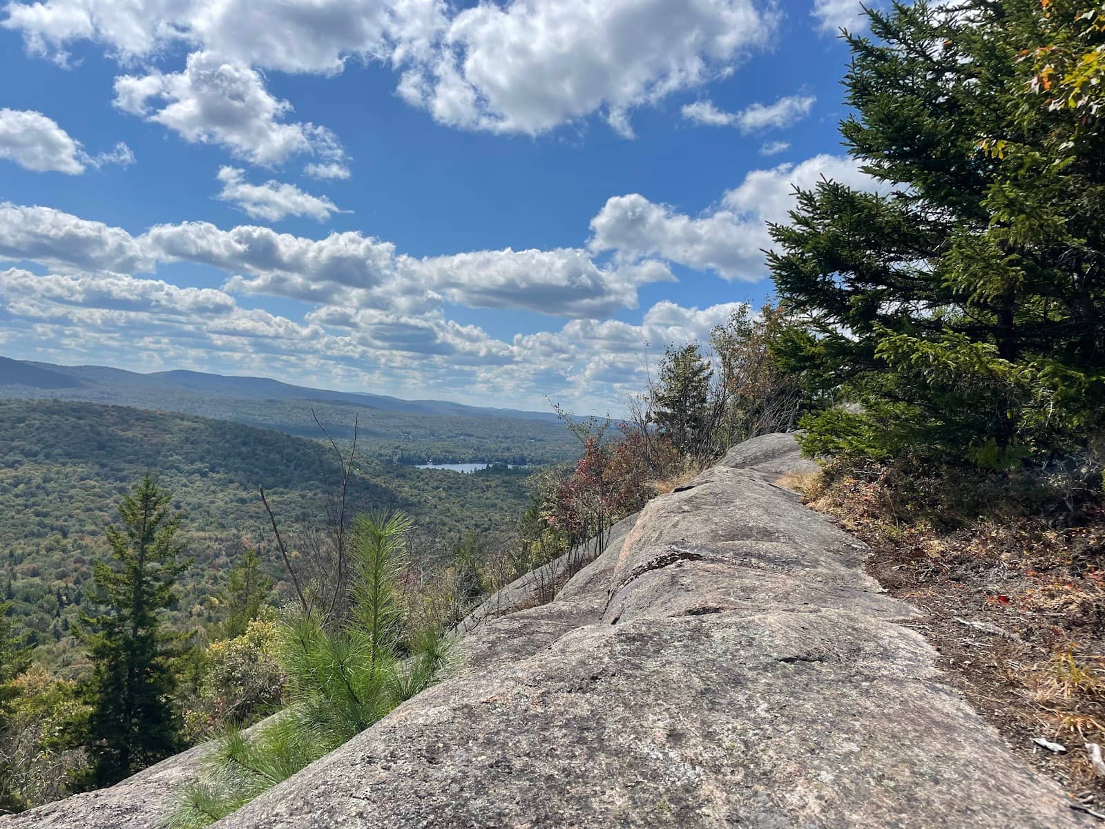 Gentle Yellow Trail Ascent
