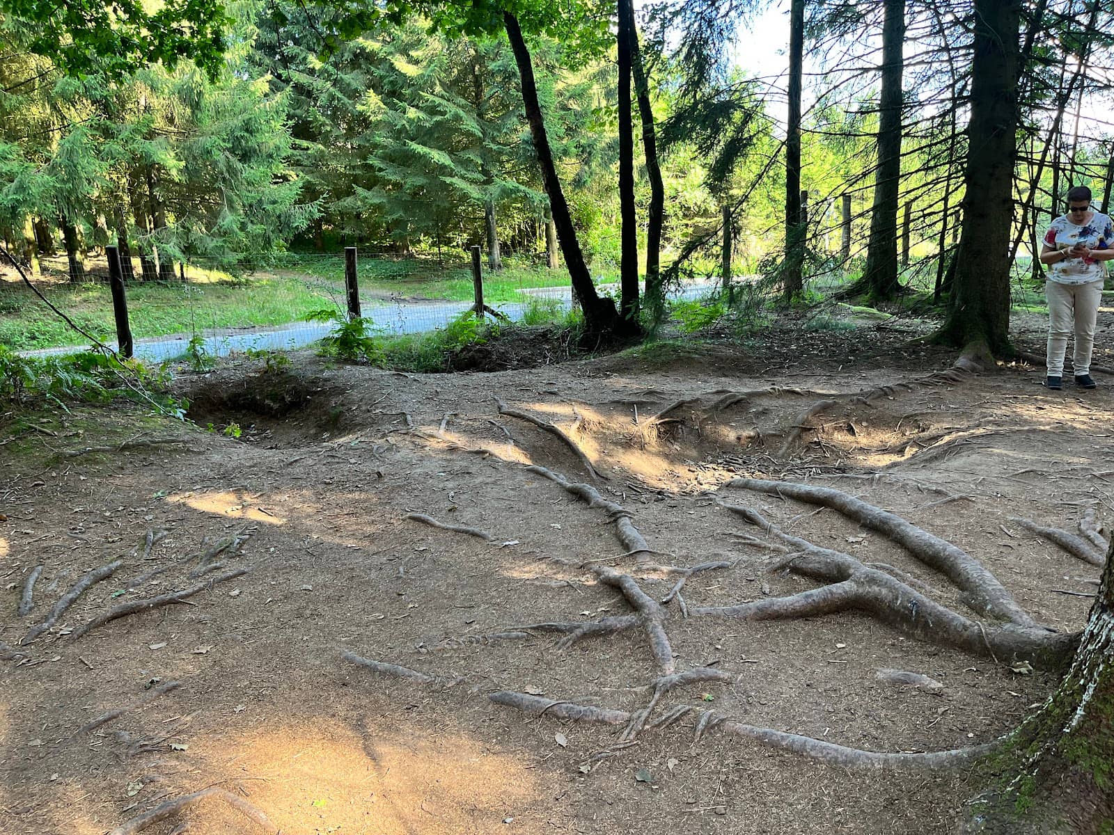 Walter Gordon's Foxhole