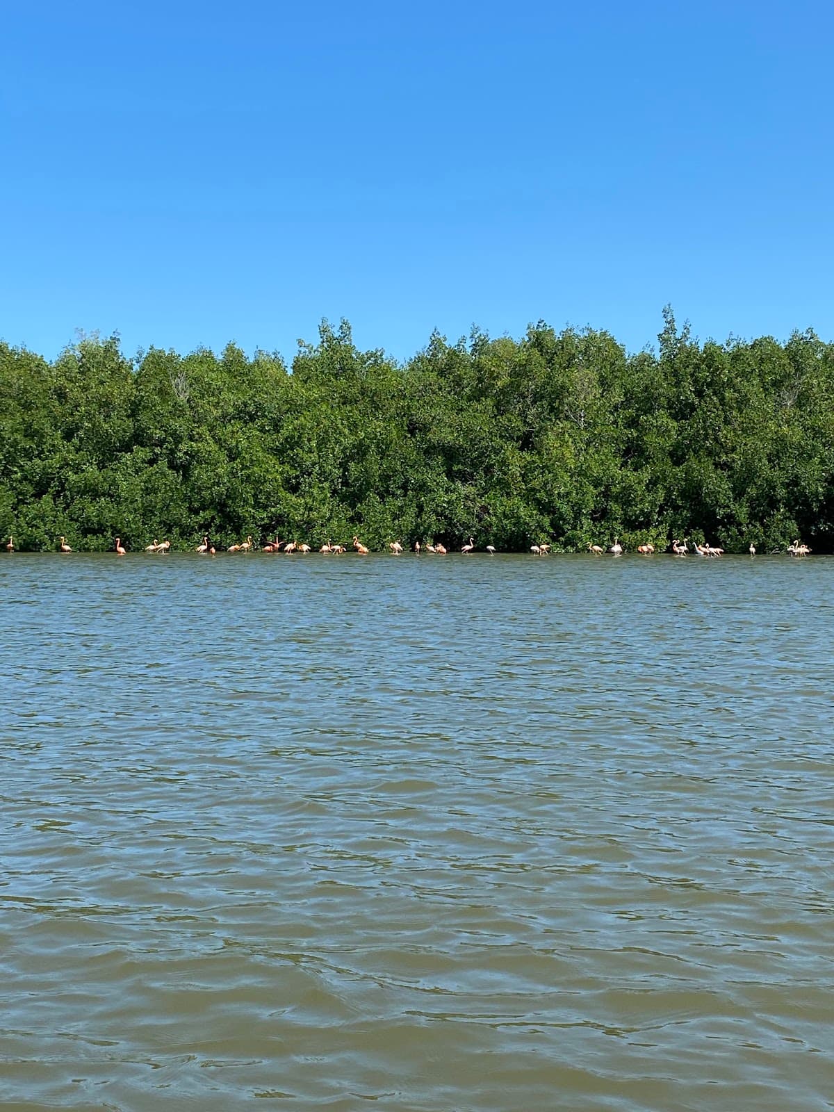 Laguna Guanaroca Nature Reserve - Image 1