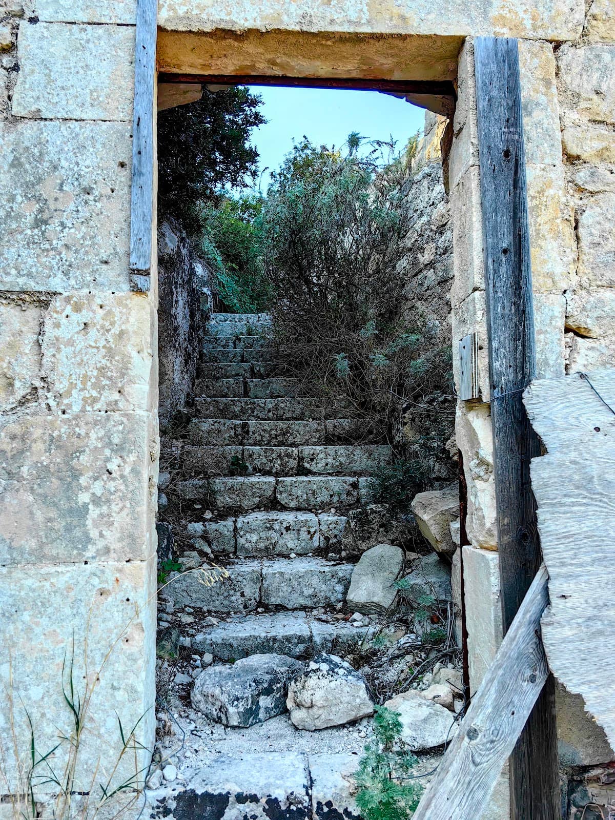 Vertical photo