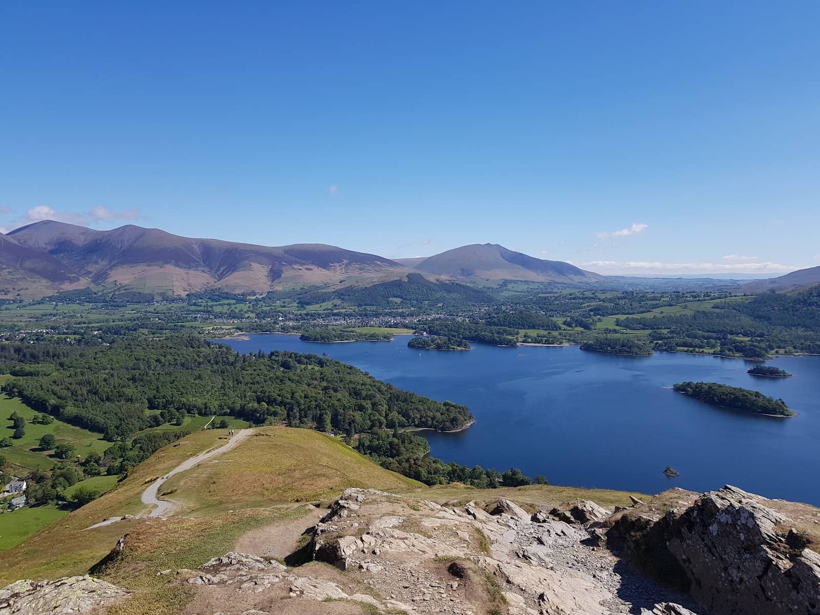 Wildlife Spotting Opportunities