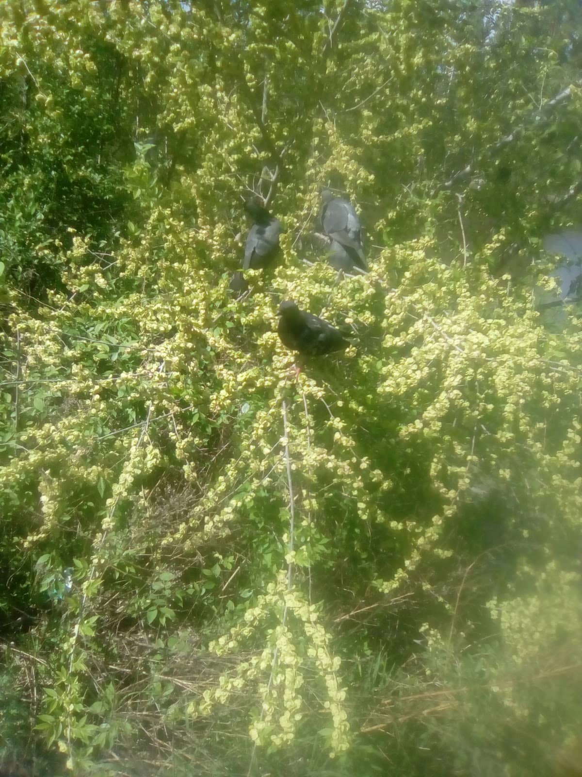 Vertical photo