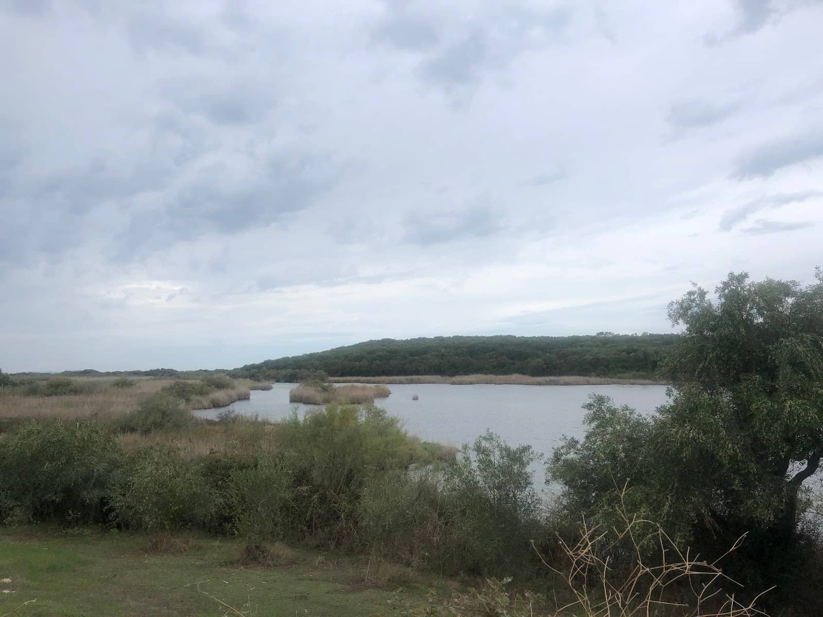 Lagoon's Tranquil Waters