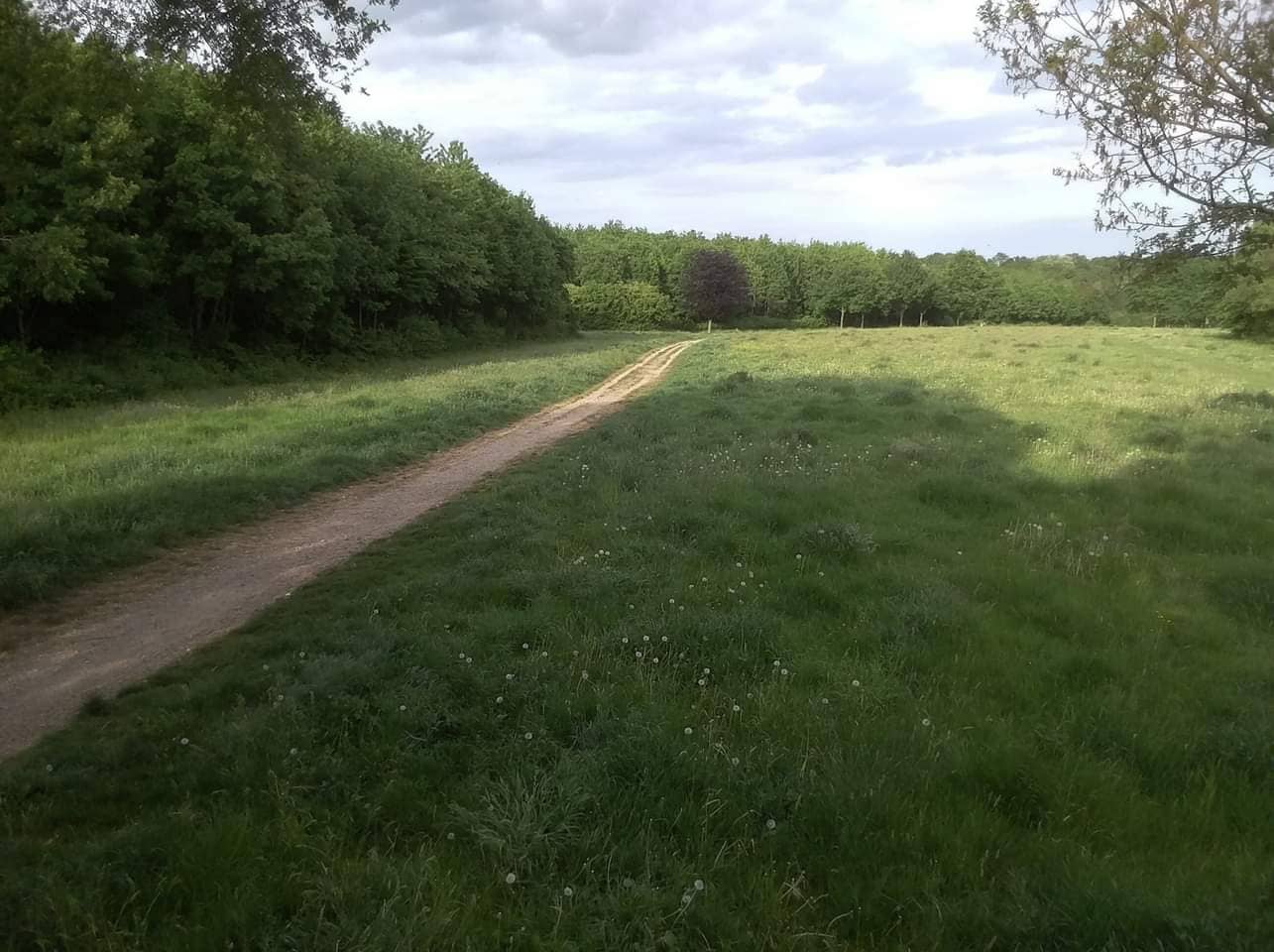 Walking Paths