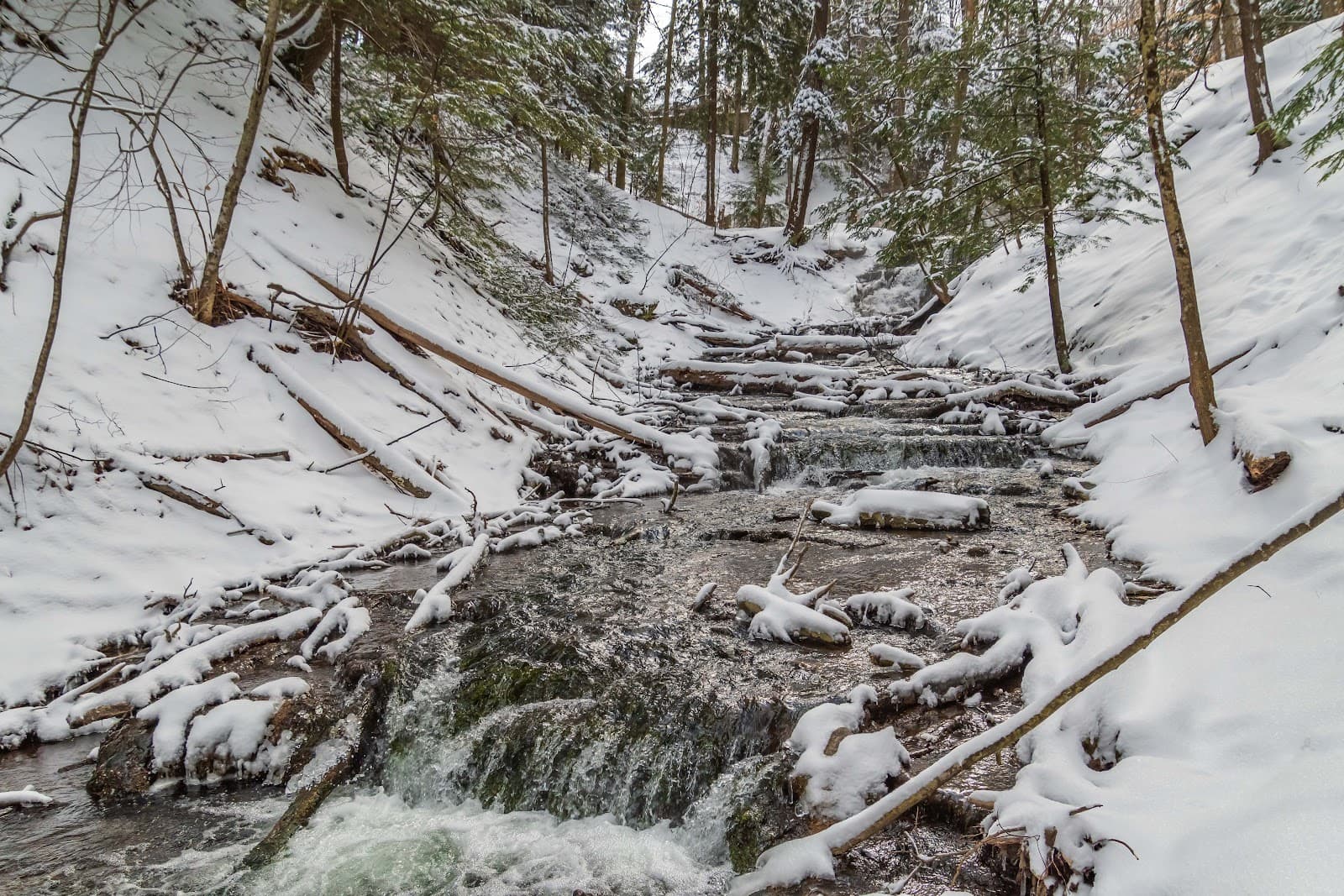 Weaver's Creek Falls - Image 1