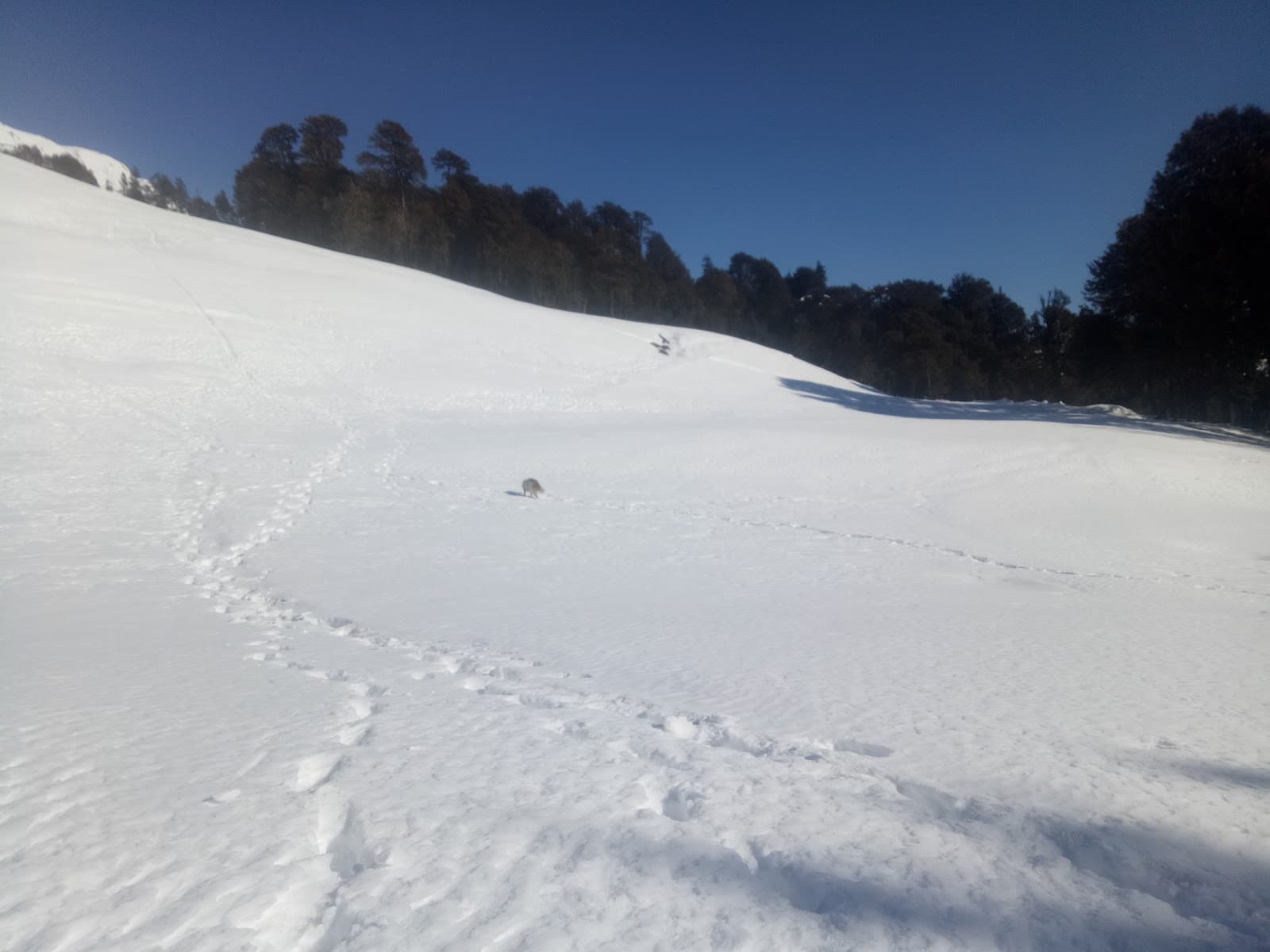 Patalsu Peak - Image 1