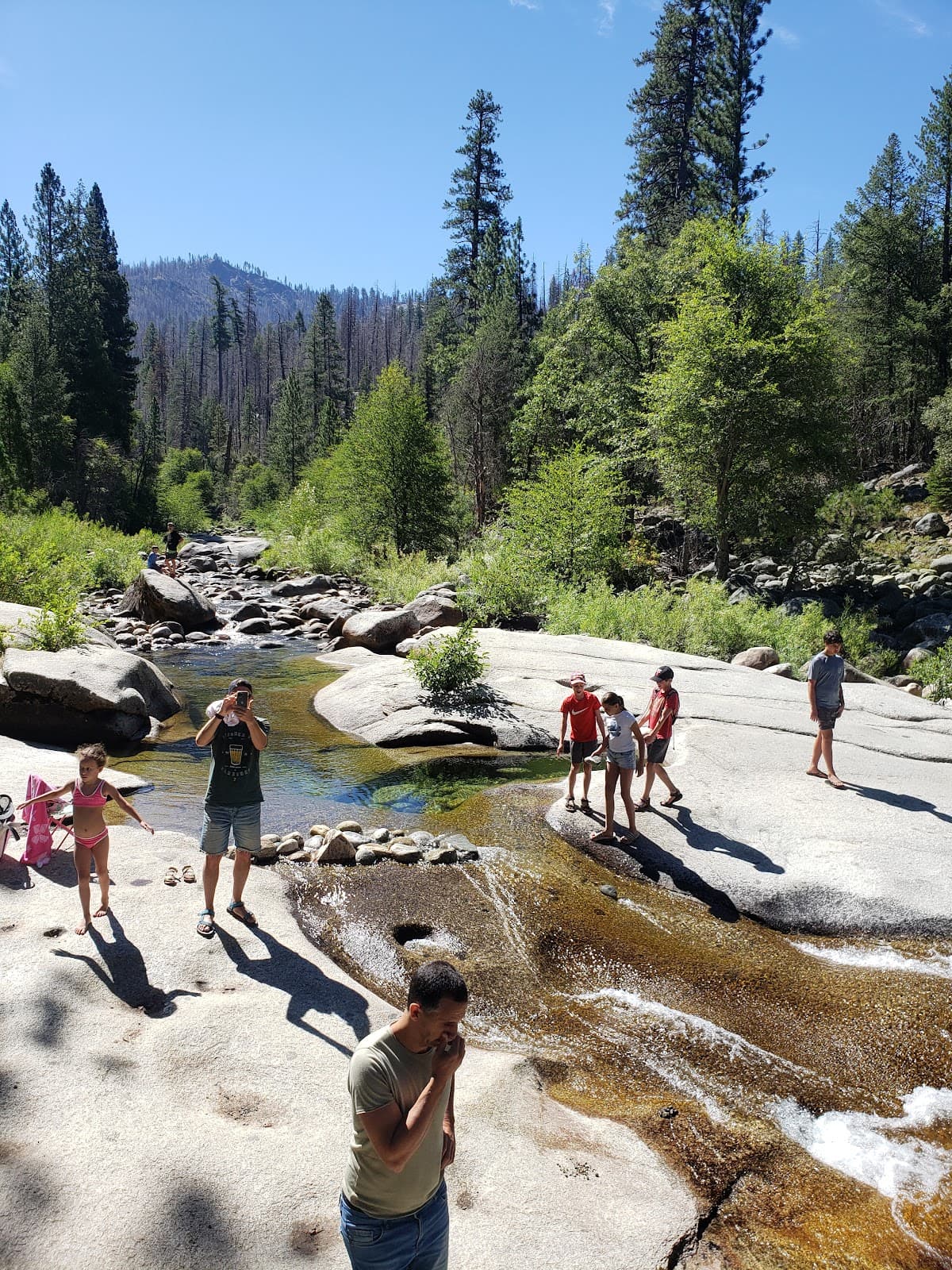 Wawona Swinging Bridge - Image 1