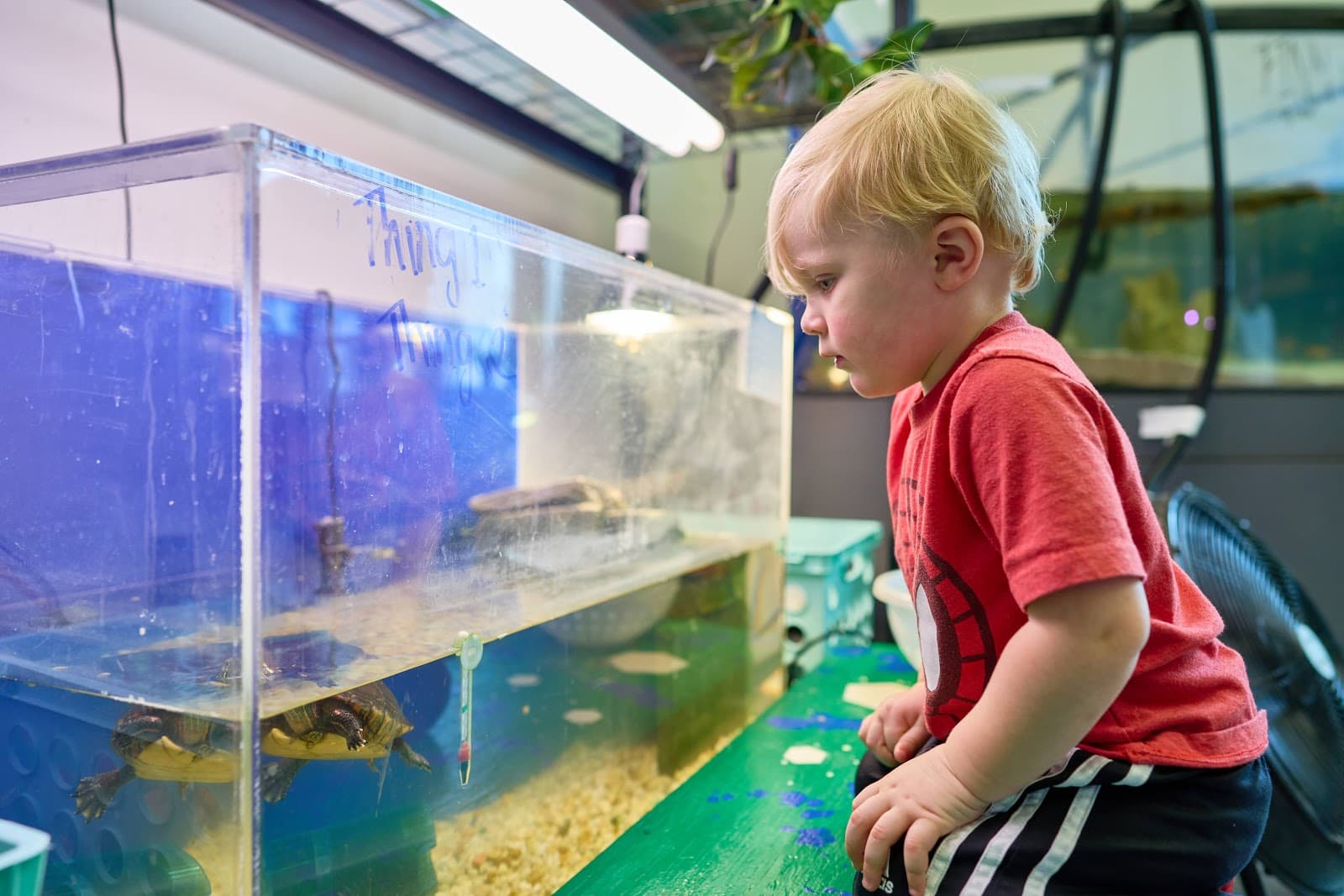Spartanburg Science Center - Image 1