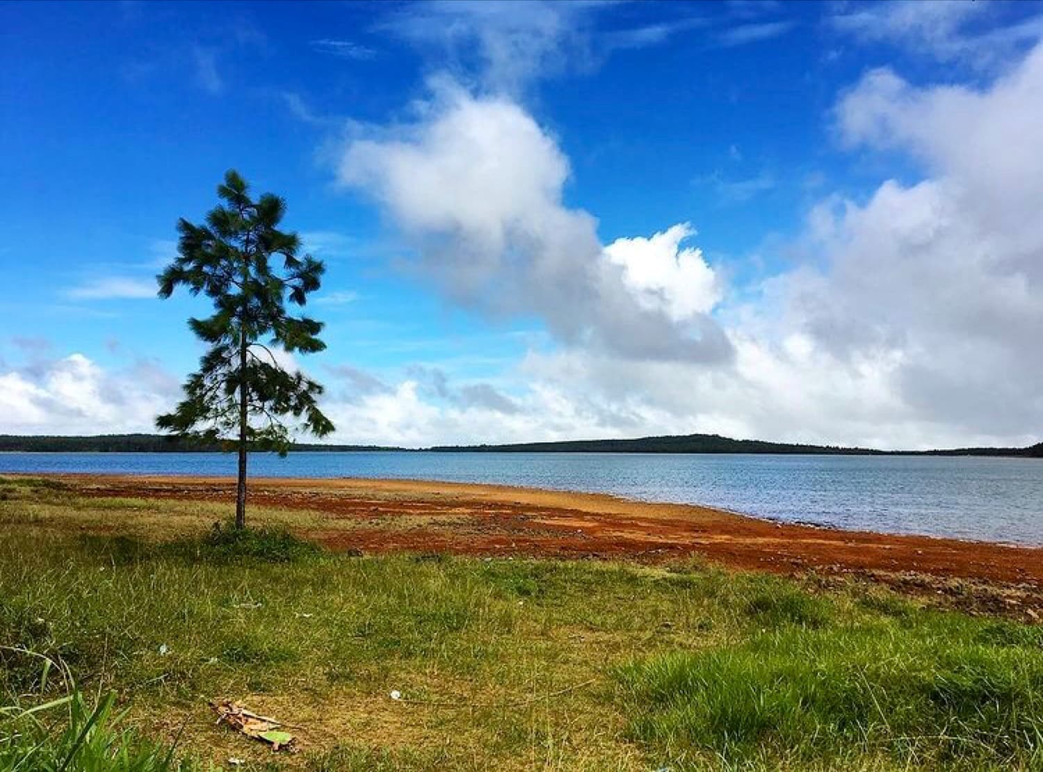 Mare aux Vacoas - Image 1