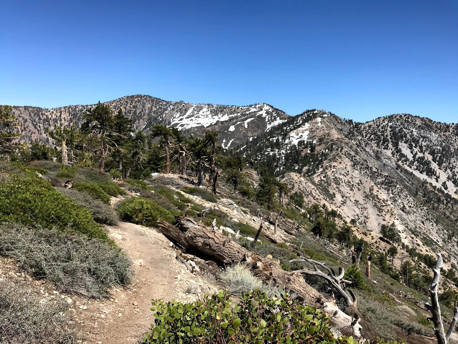 Mt. Islip Trail - Image 1