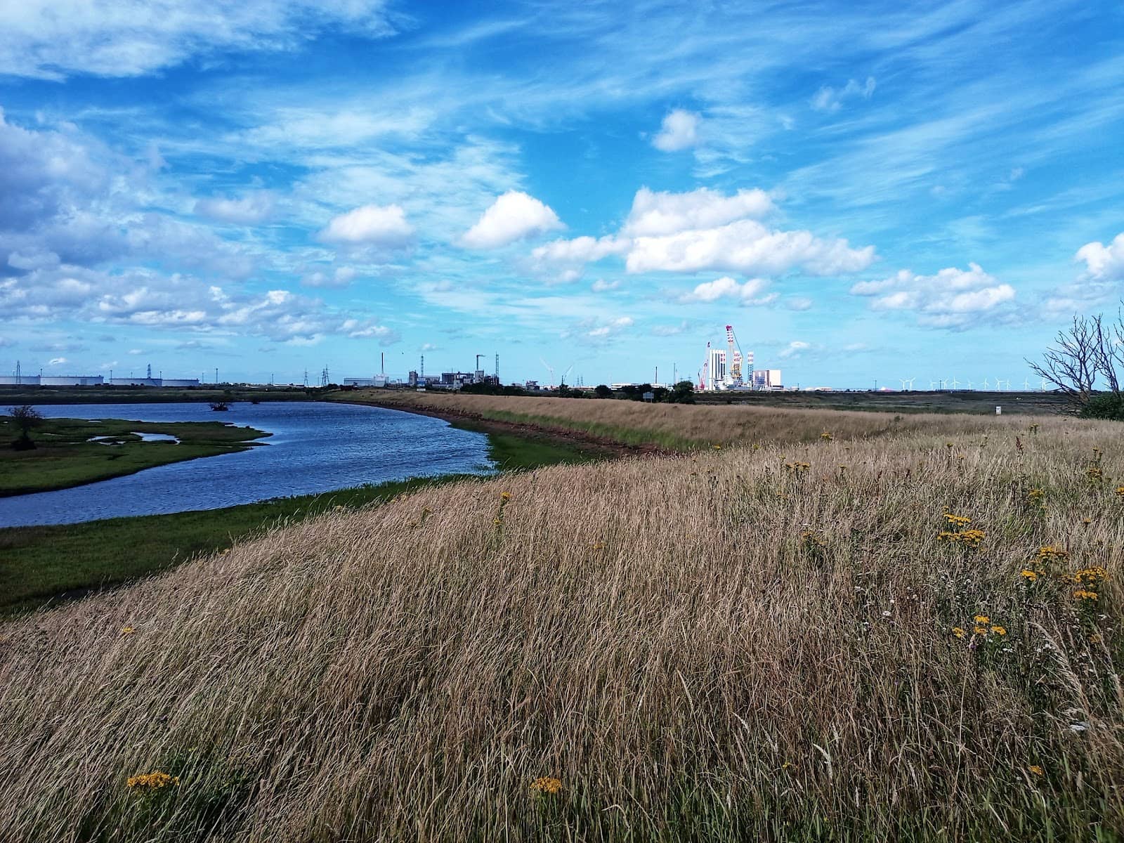 Teesmouth Estuary Views