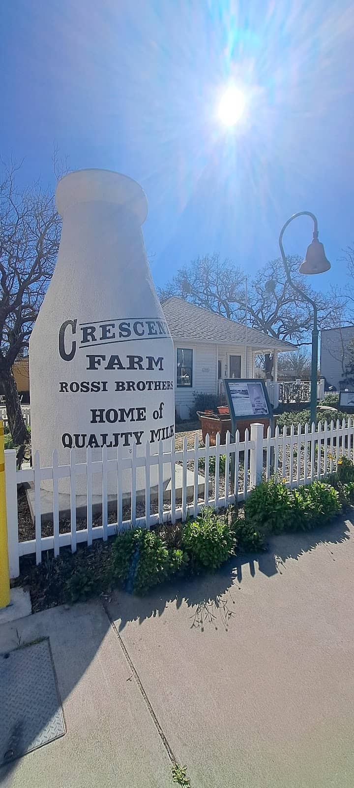 Local History Archives