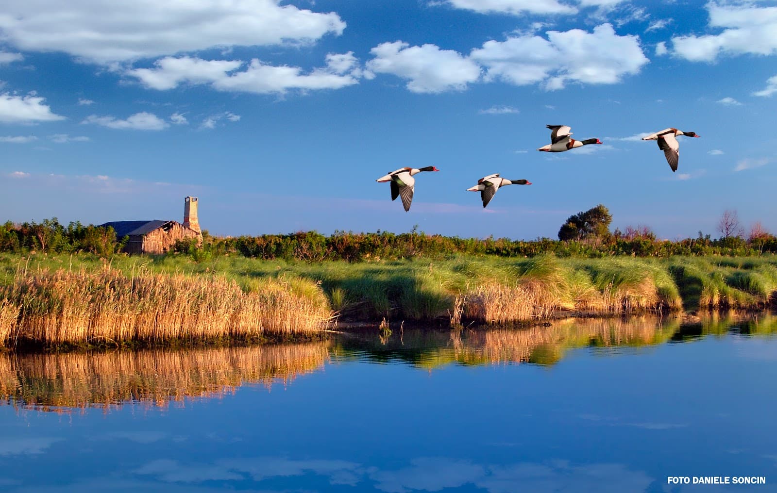 Po Delta Regional Park - Image 1