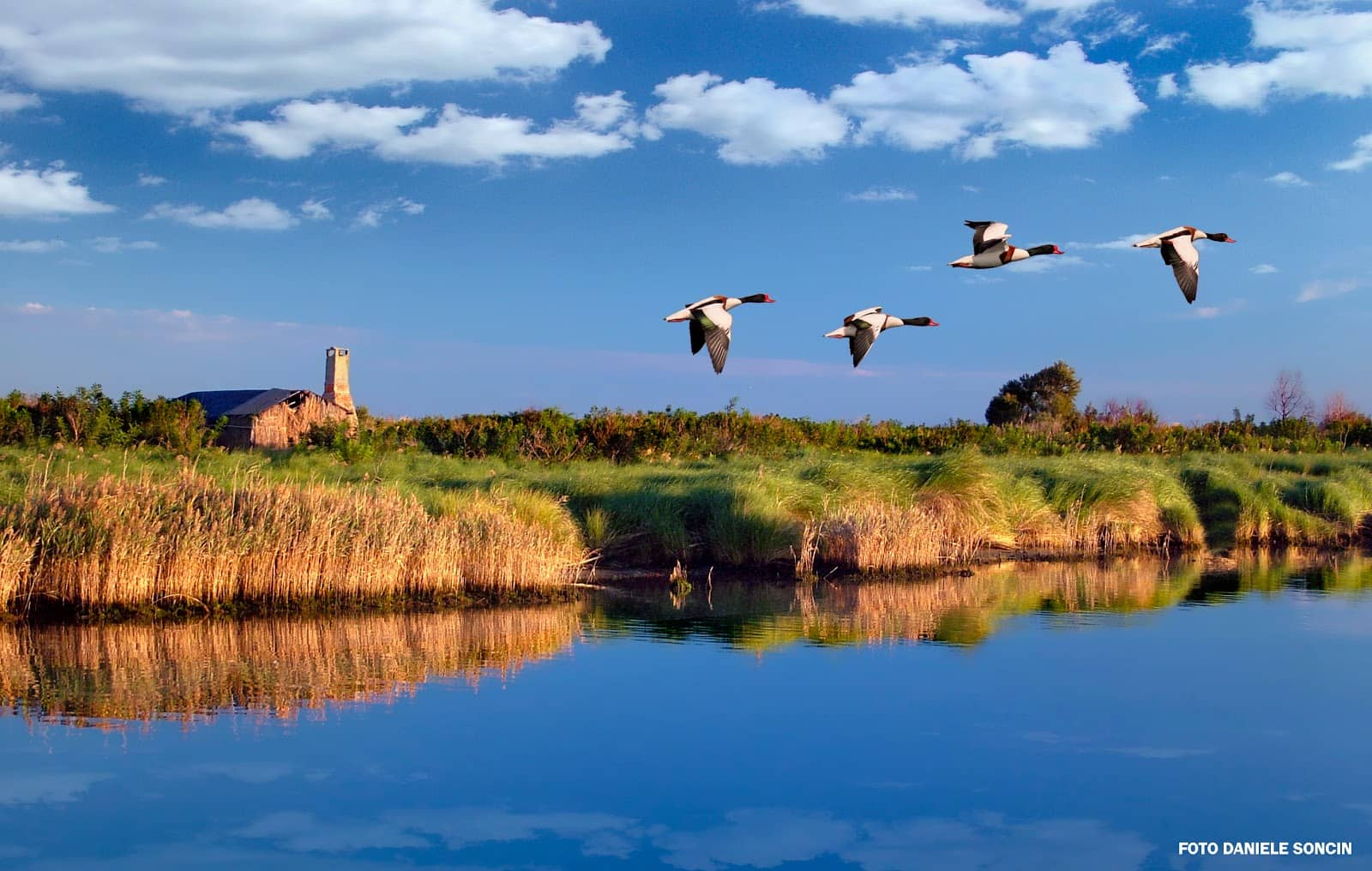 Cycling Through Nature