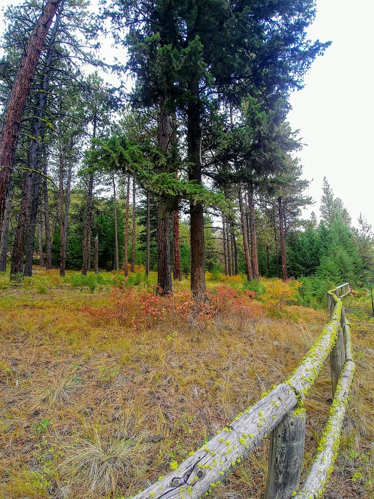 Blue Mountain Recreation Area - Image 1