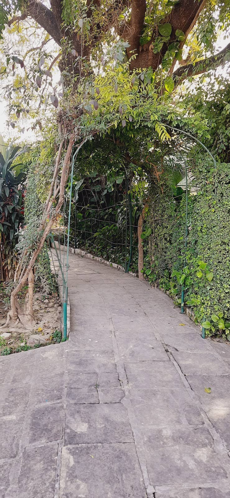 Vertical photo