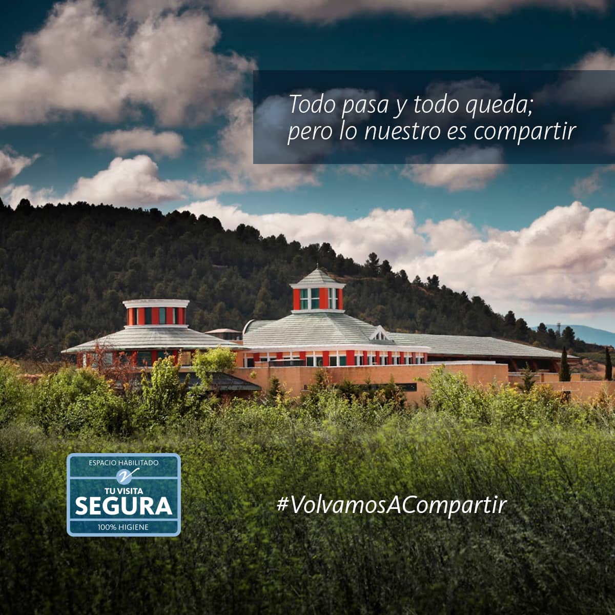 Extensive Corkscrew Collection