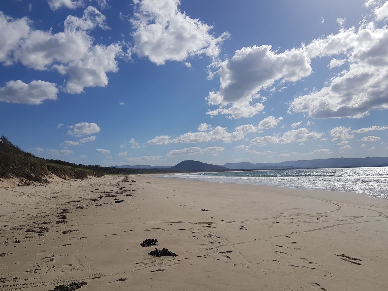 Comerong Island Nature Reserve - Image 1