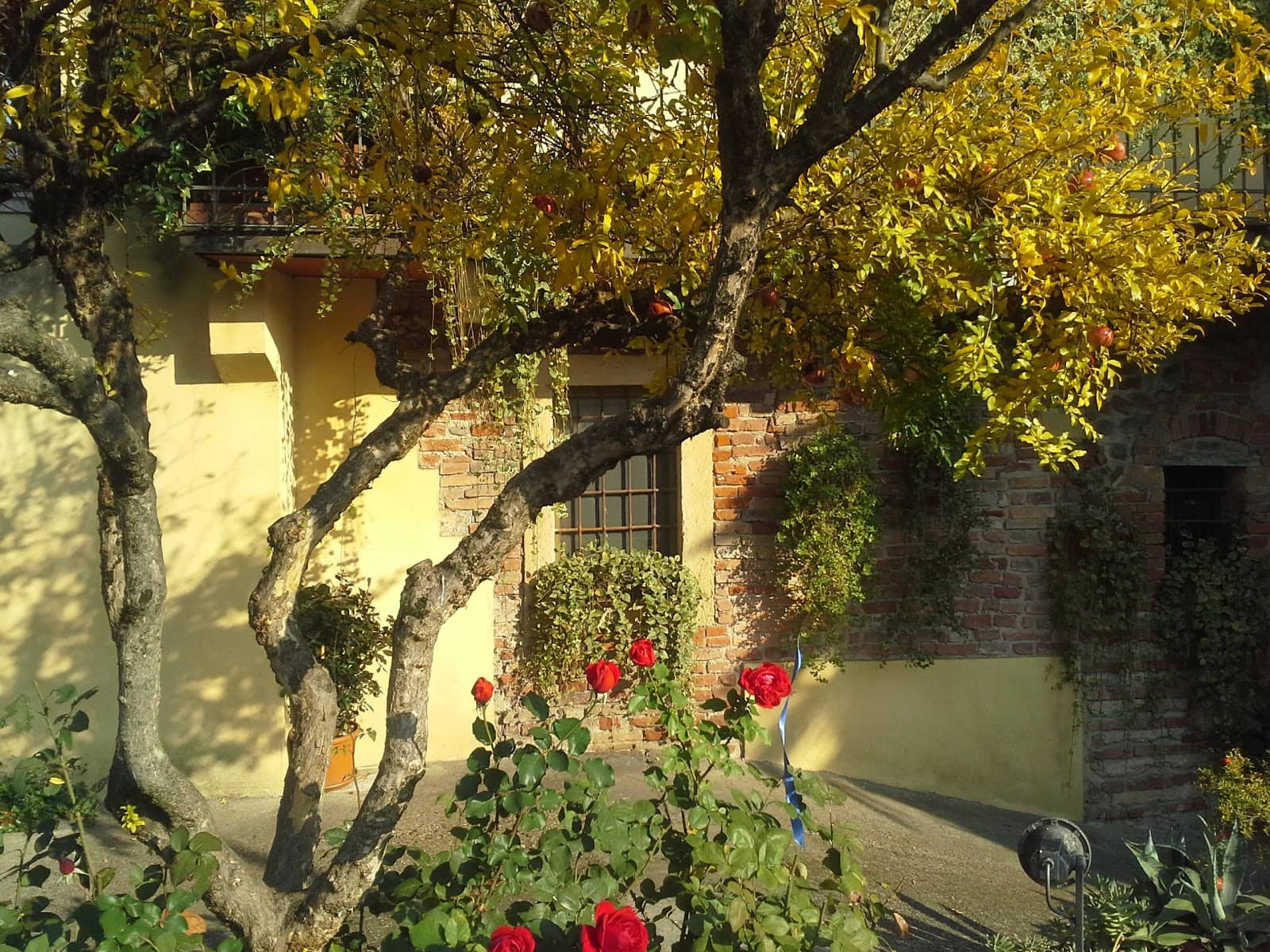 Vertical photo