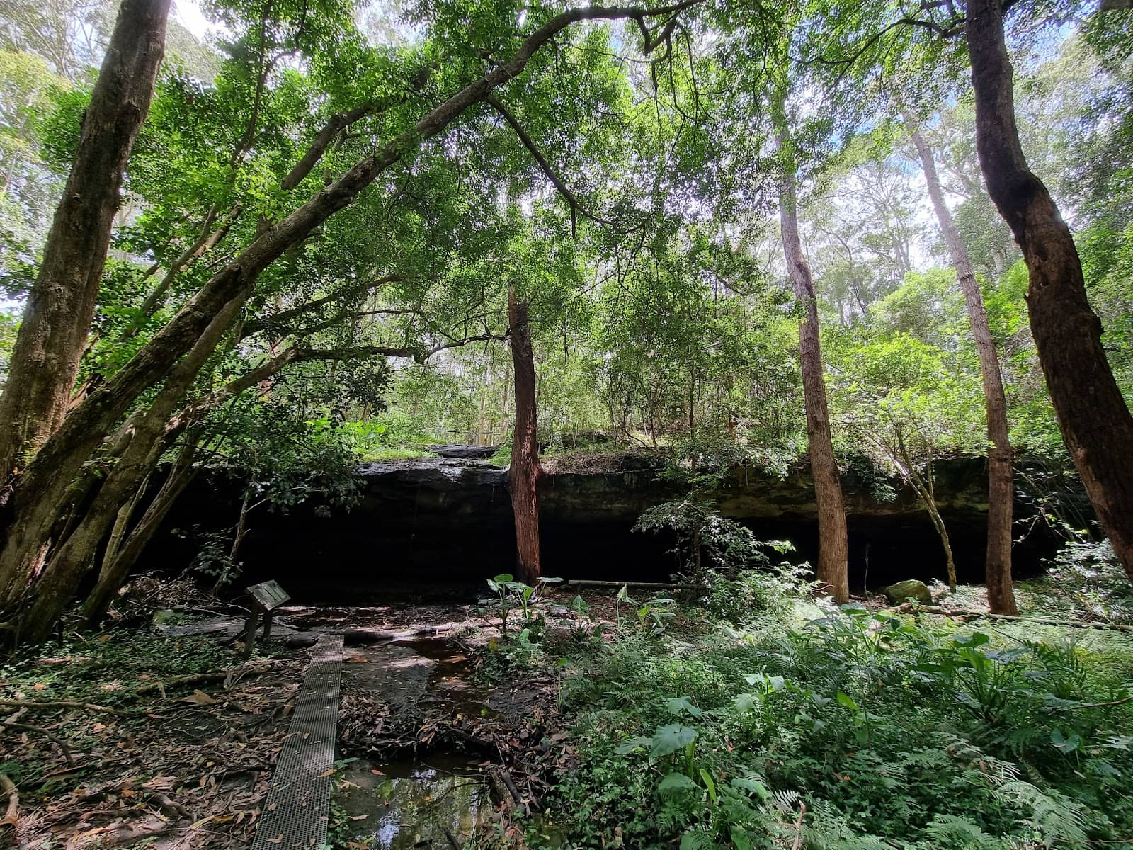 Cave Exploration