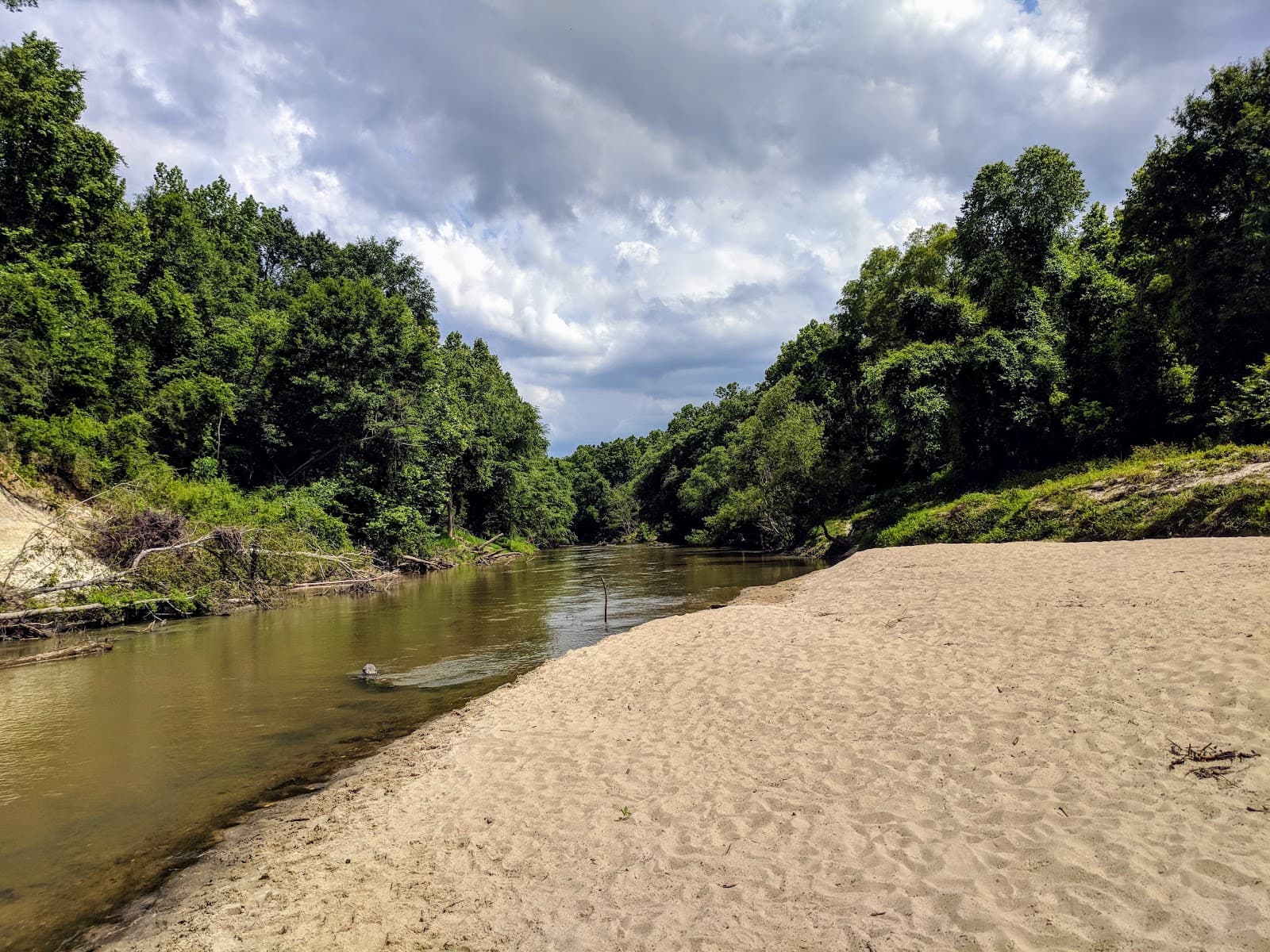 Comite River Park MTB Trails - Image 1