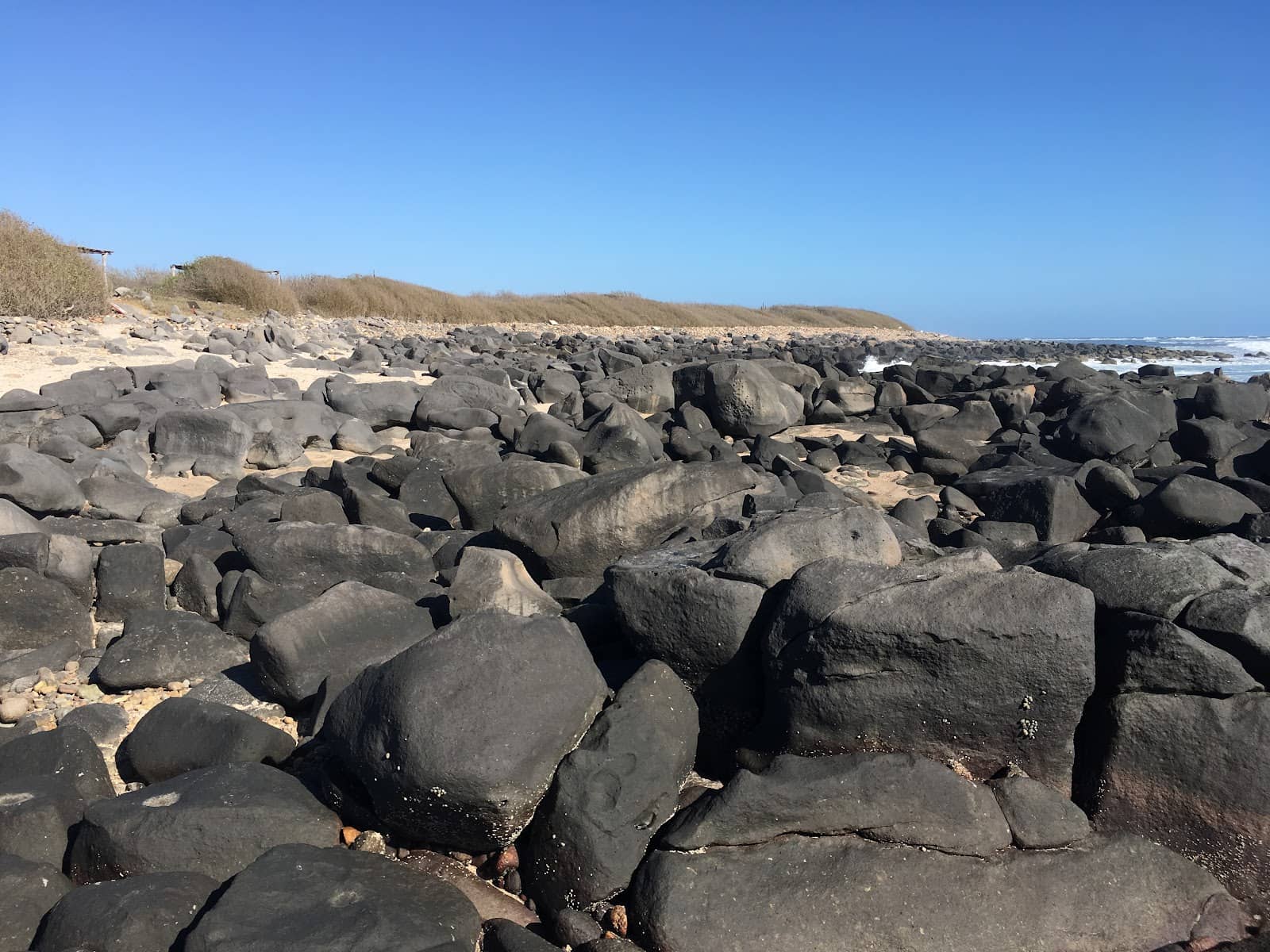 Saltwater Estuary Exploration