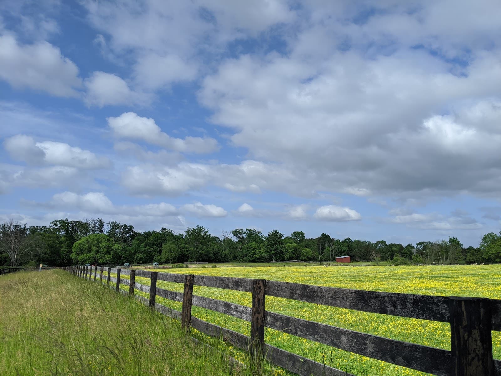 Frying Pan Farm Park - Image 1