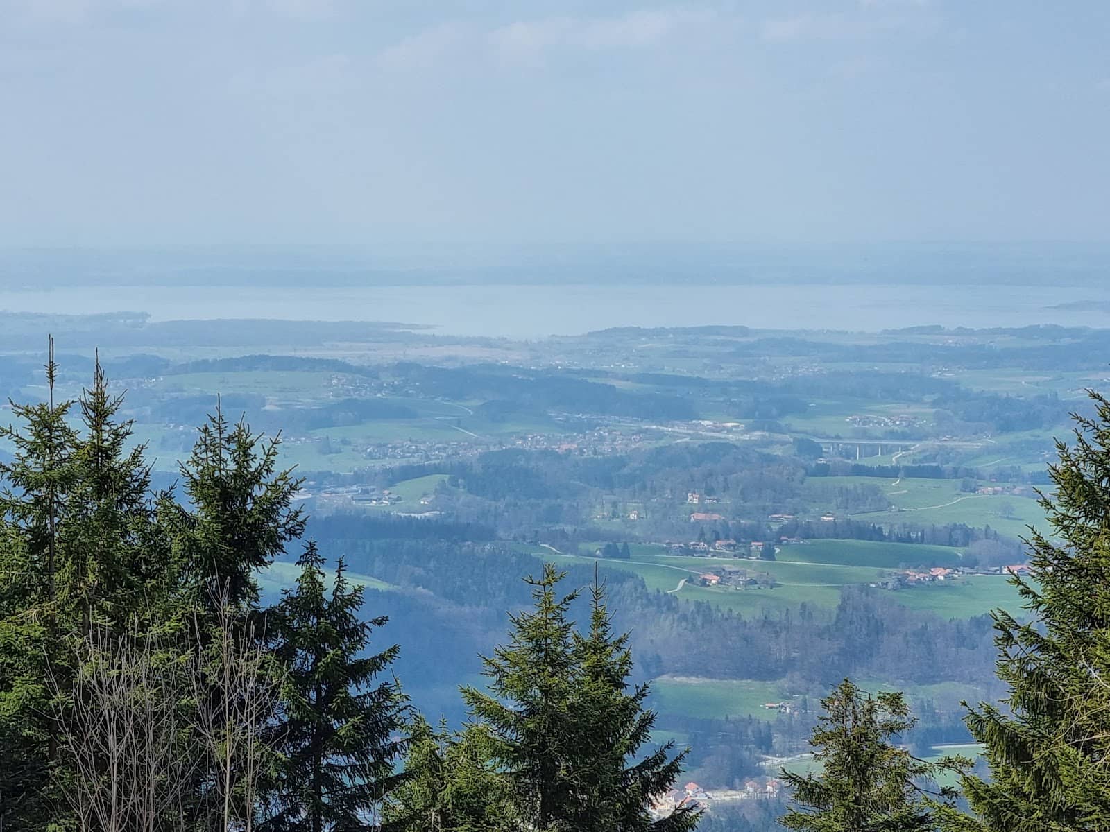 Well-Signposted Forest Road