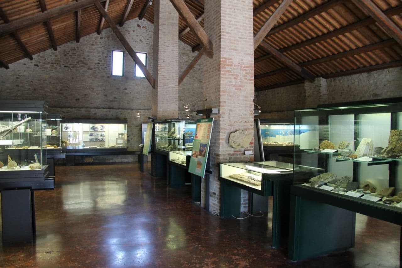 Museo Geopaleontologico di Cava Bomba - Image 1