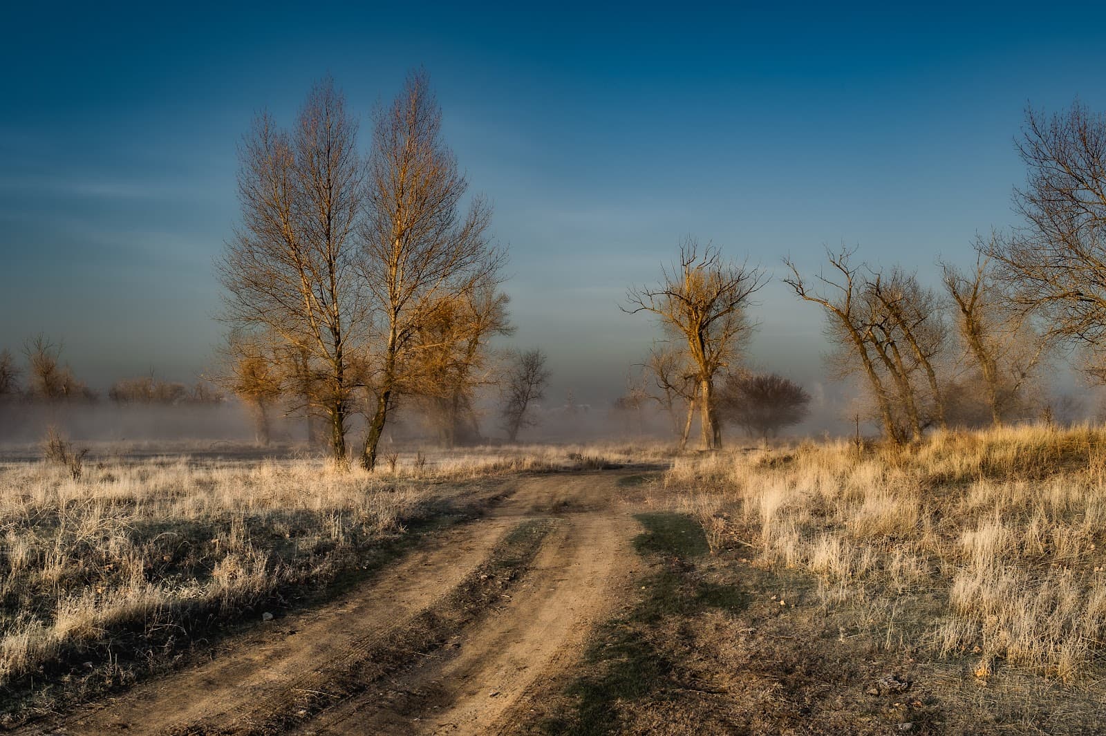 Sarpinsky Island Astrakhan - Image 1