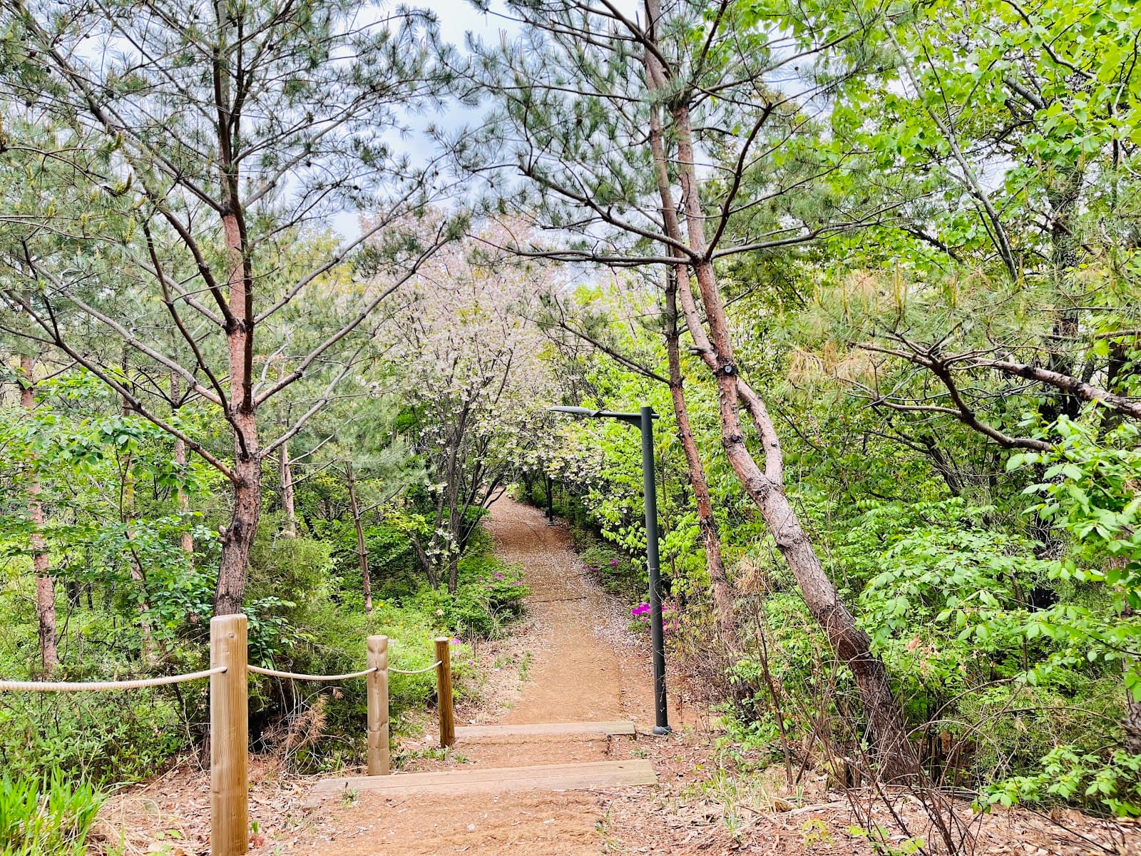 Seongsan Neighborhood Park - Image 1