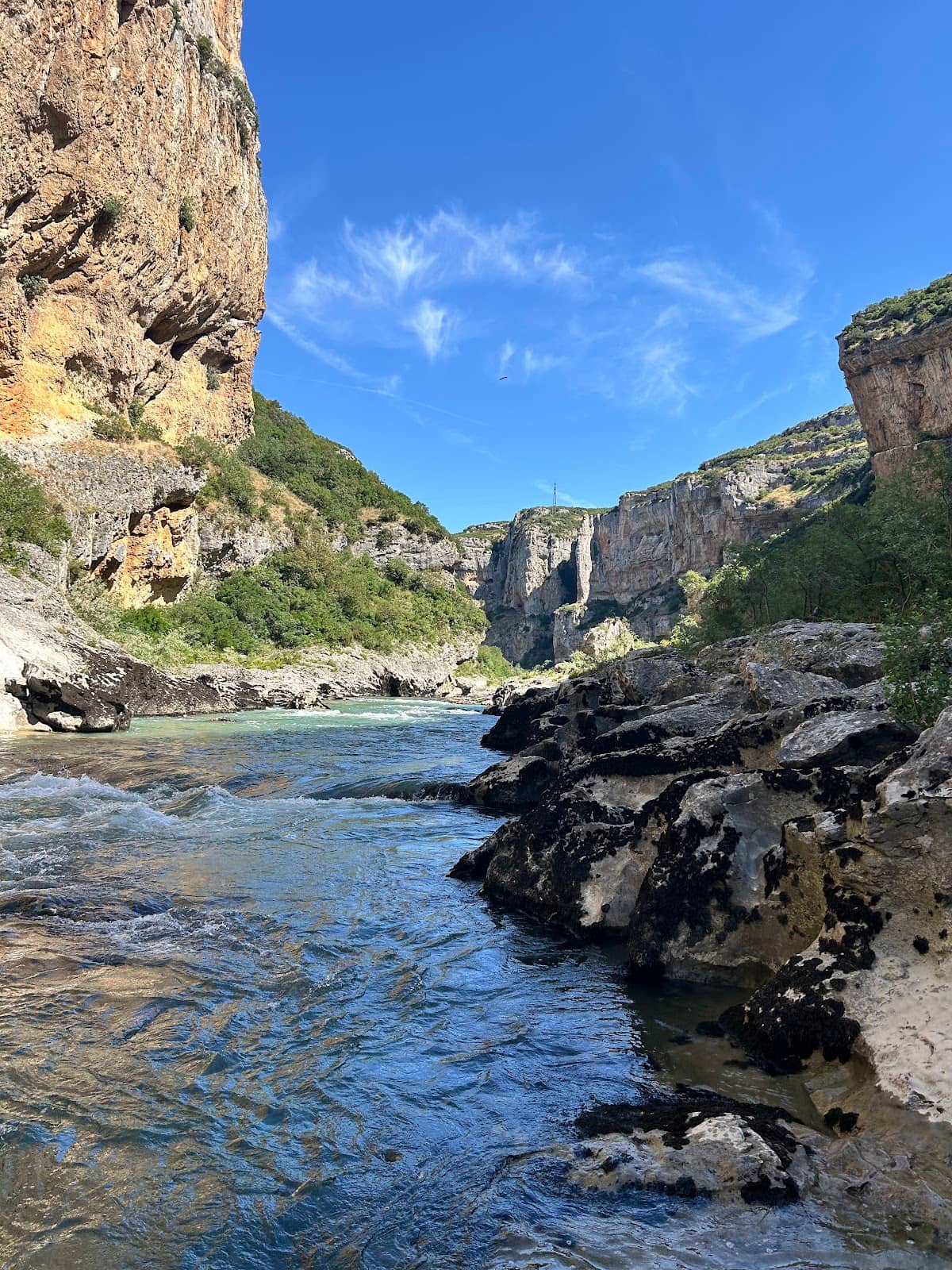 Vertical photo