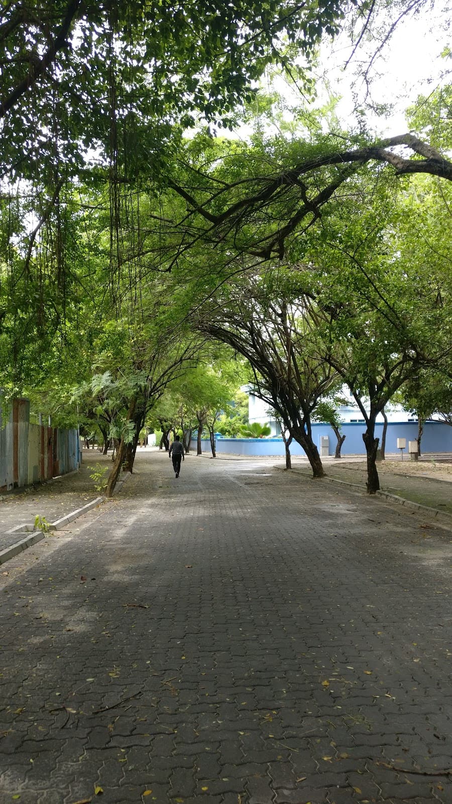 Save the Beach Eco Centre Villimale - Image 1