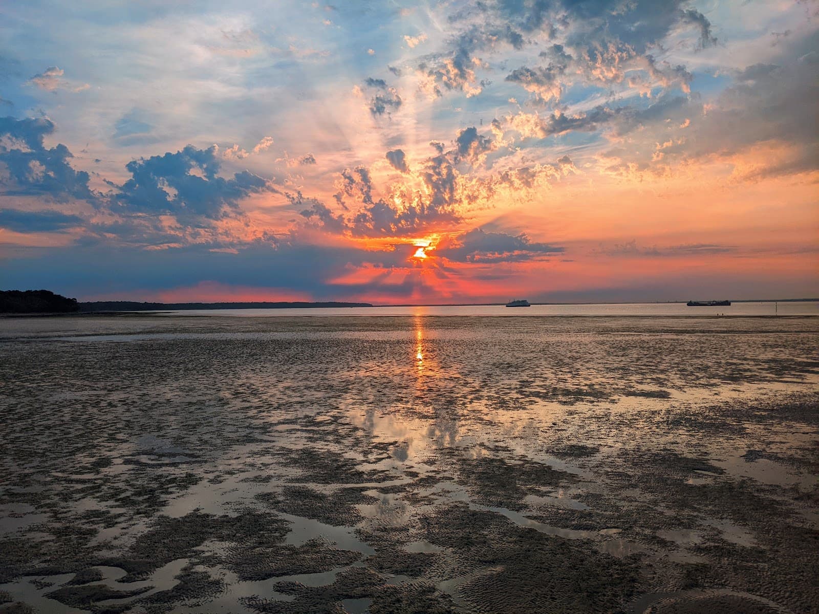 Western Gardens - Image 1