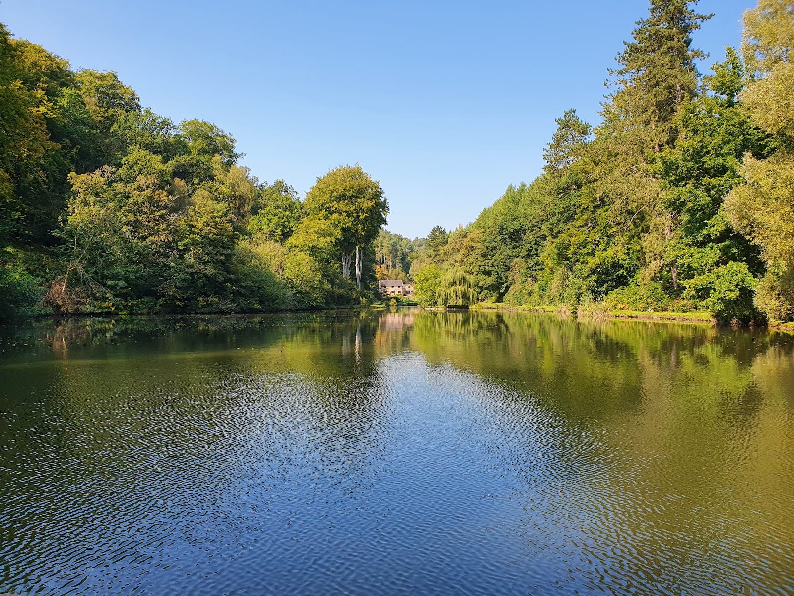 Dimmingsdale Churnet Valley - Image 1