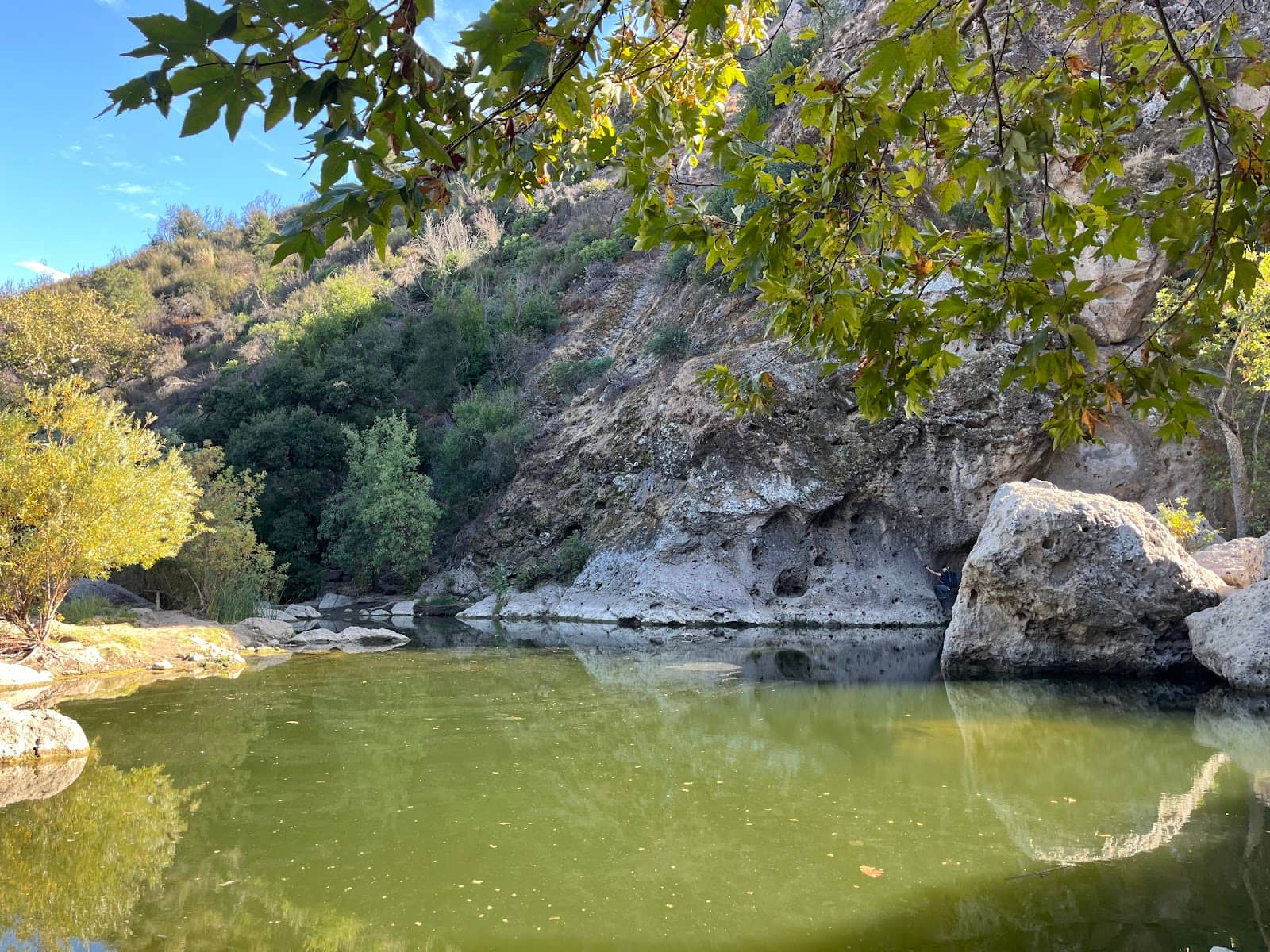 Vertical photo