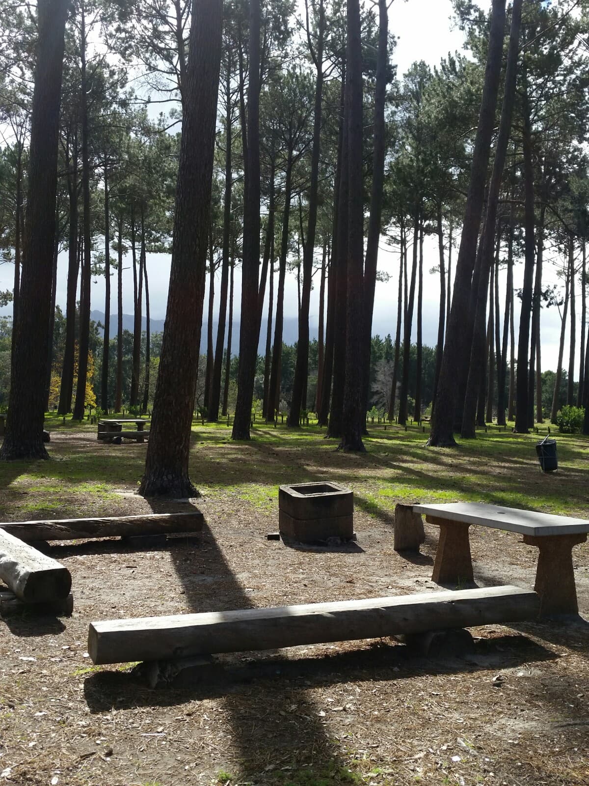 Tokai Forest - Image 1