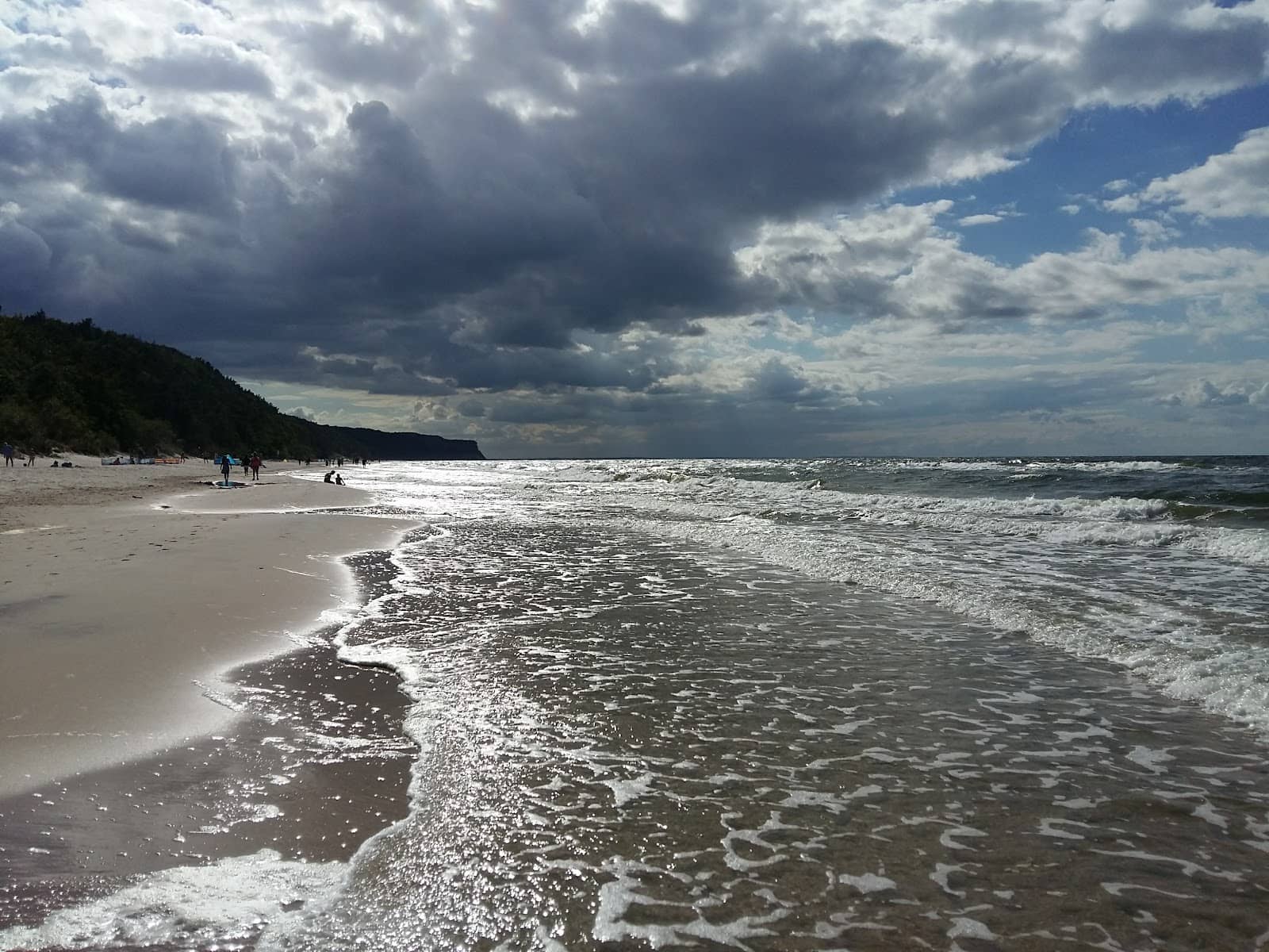 Tranquil Forest Path