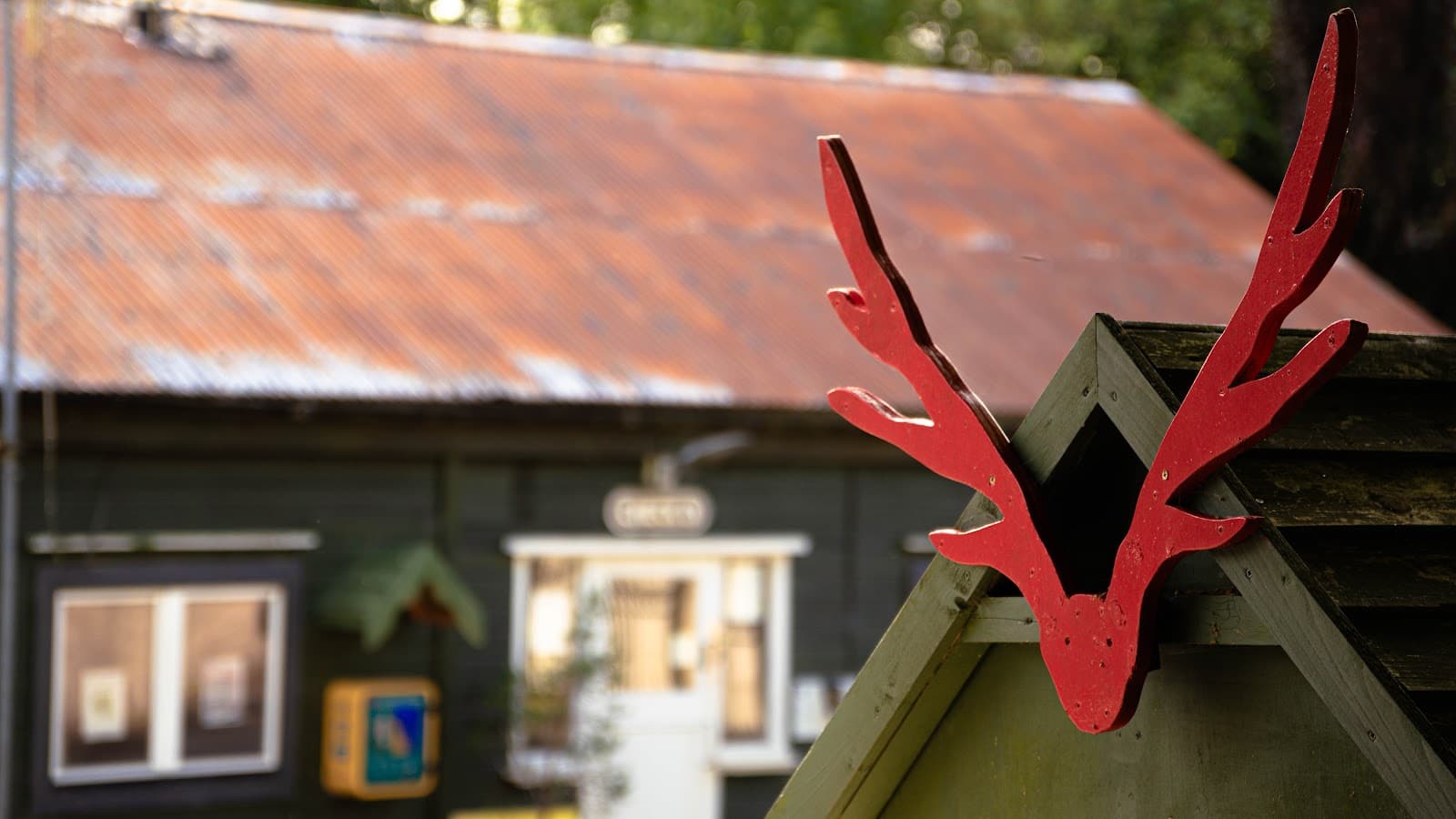 Larch Hill - Image 1