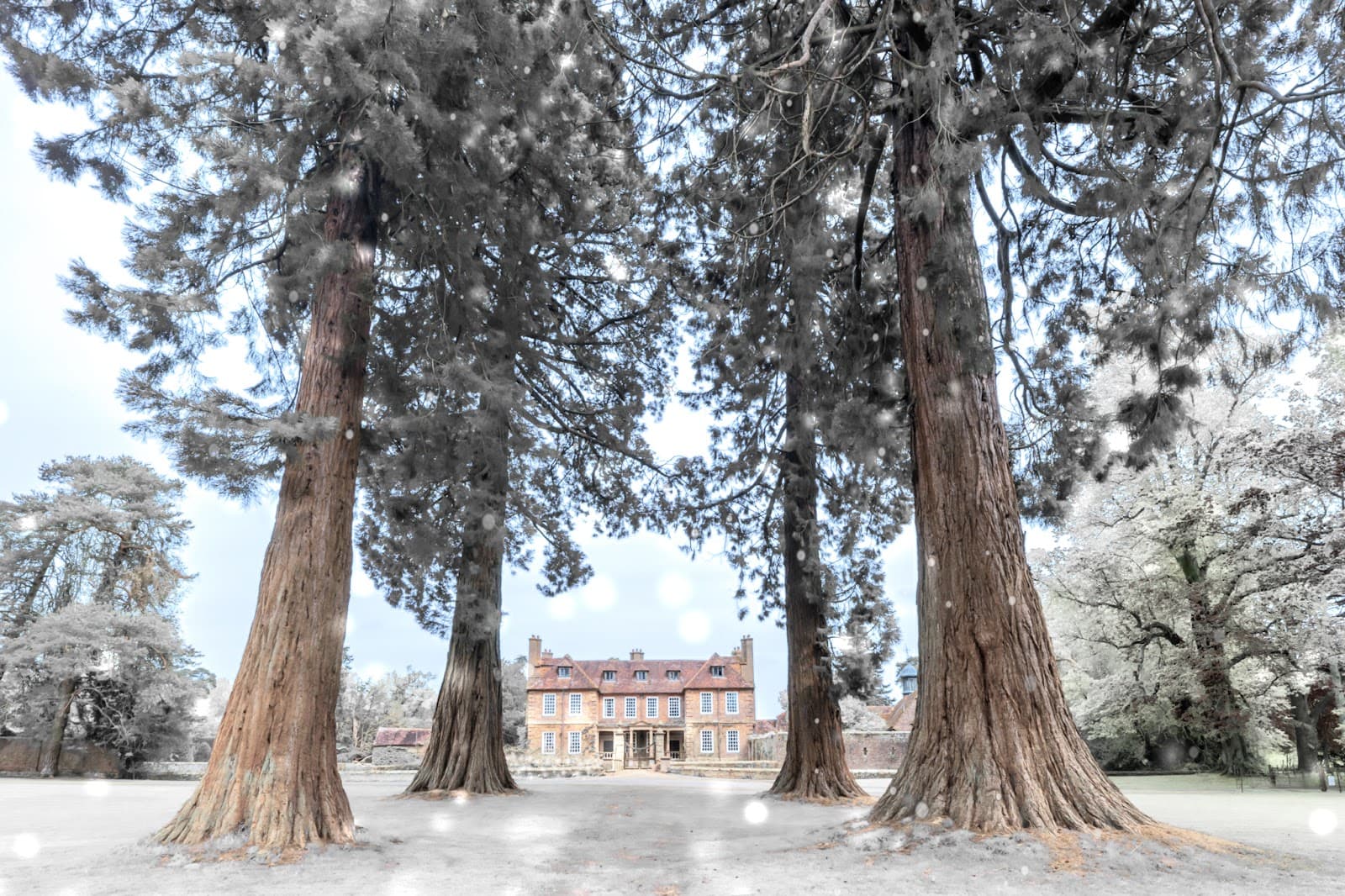 Groombridge Place - Image 1